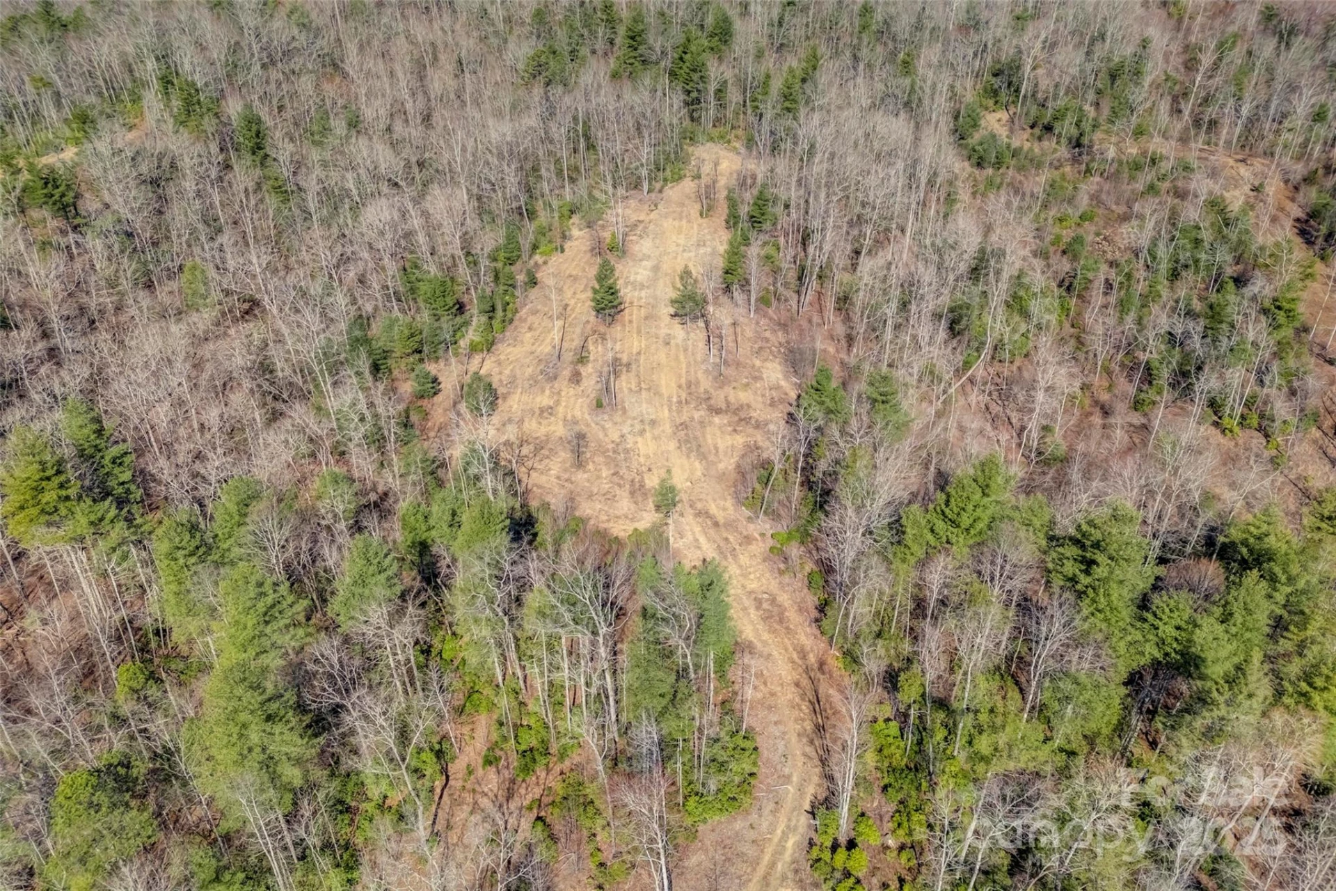 Lot 3 Walnut Hollow Road - Photo 21