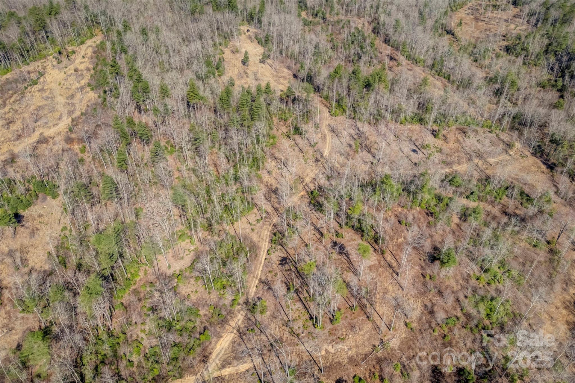Lot 3 Walnut Hollow Road - Photo 23