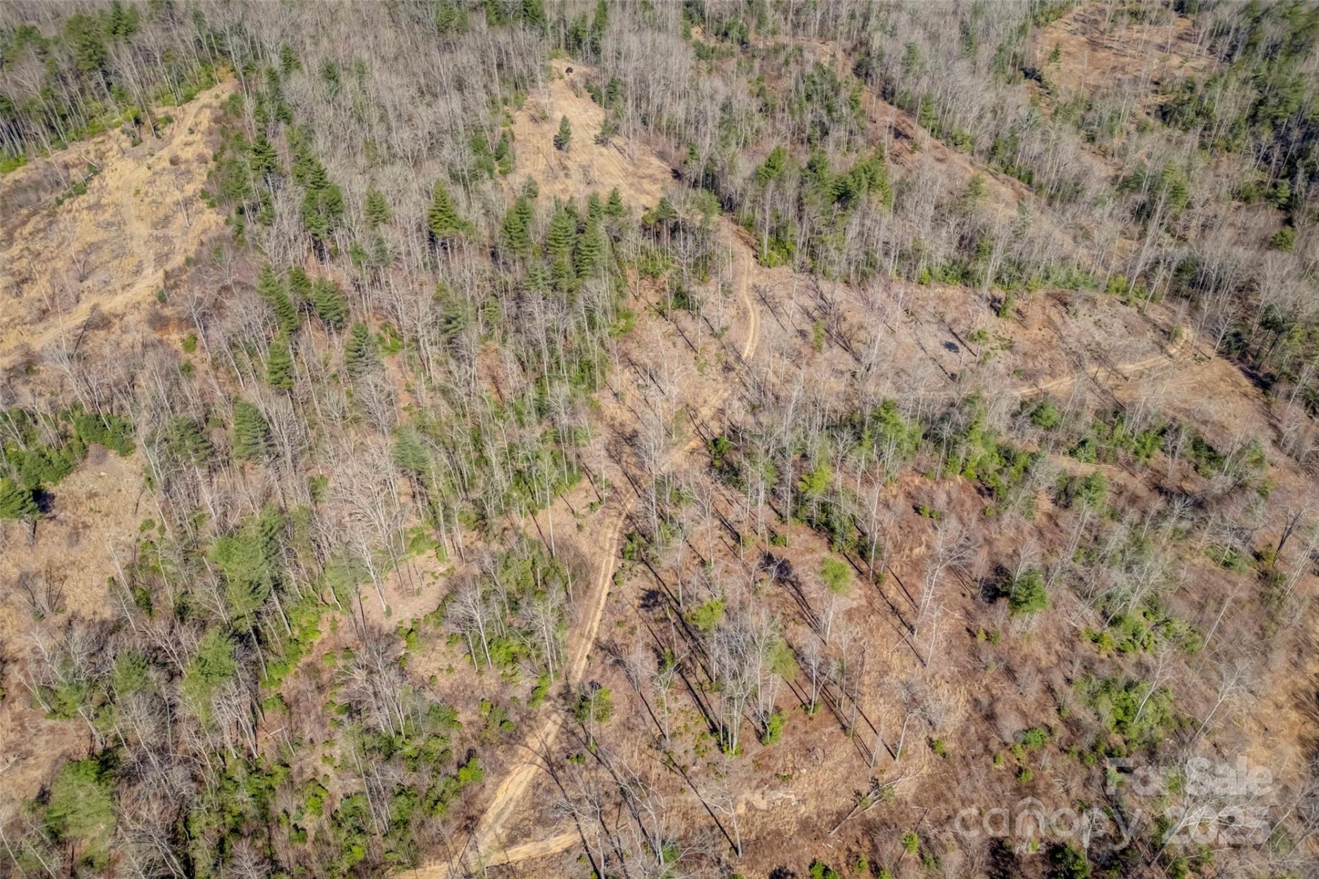 Lot 3 Walnut Hollow Road - Photo 23