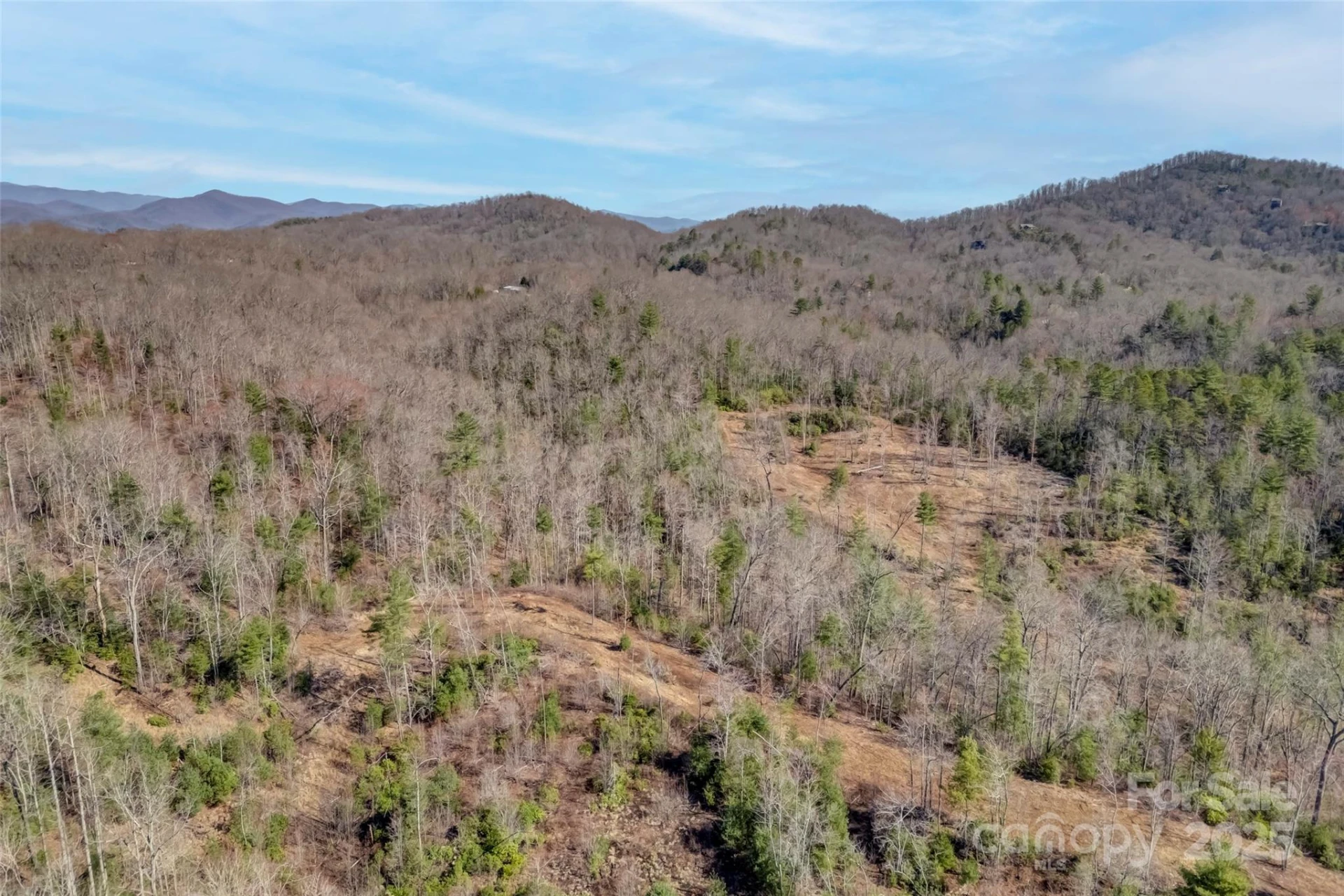 Lot 3 Walnut Hollow Road - Photo 24