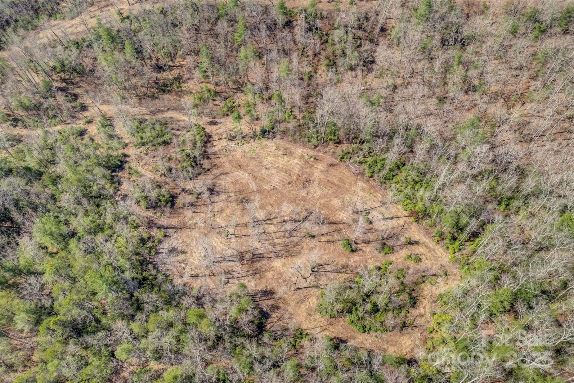 Lot 3 Walnut Hollow Road - Photo 26