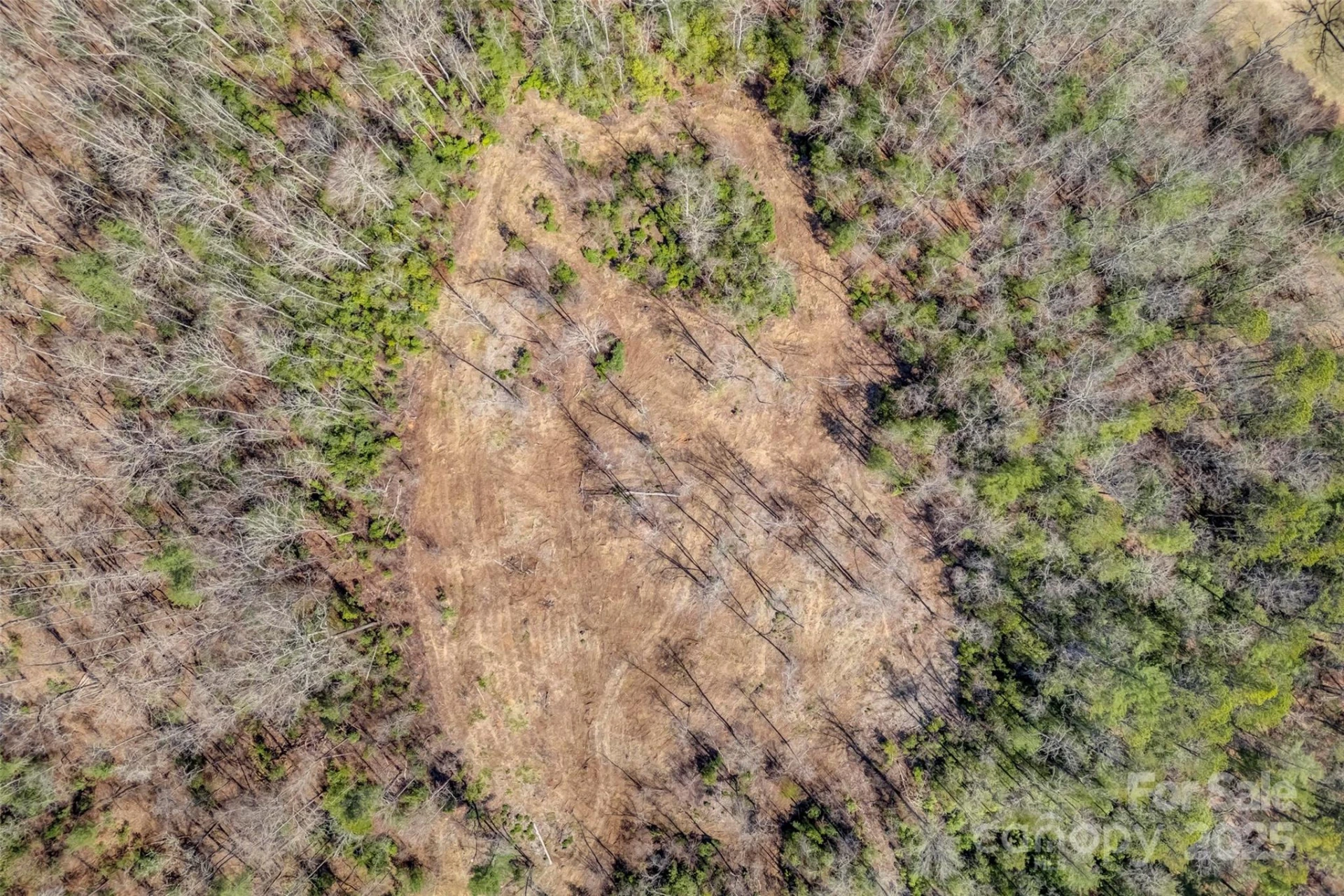 Lot 3 Walnut Hollow Road - Photo 29