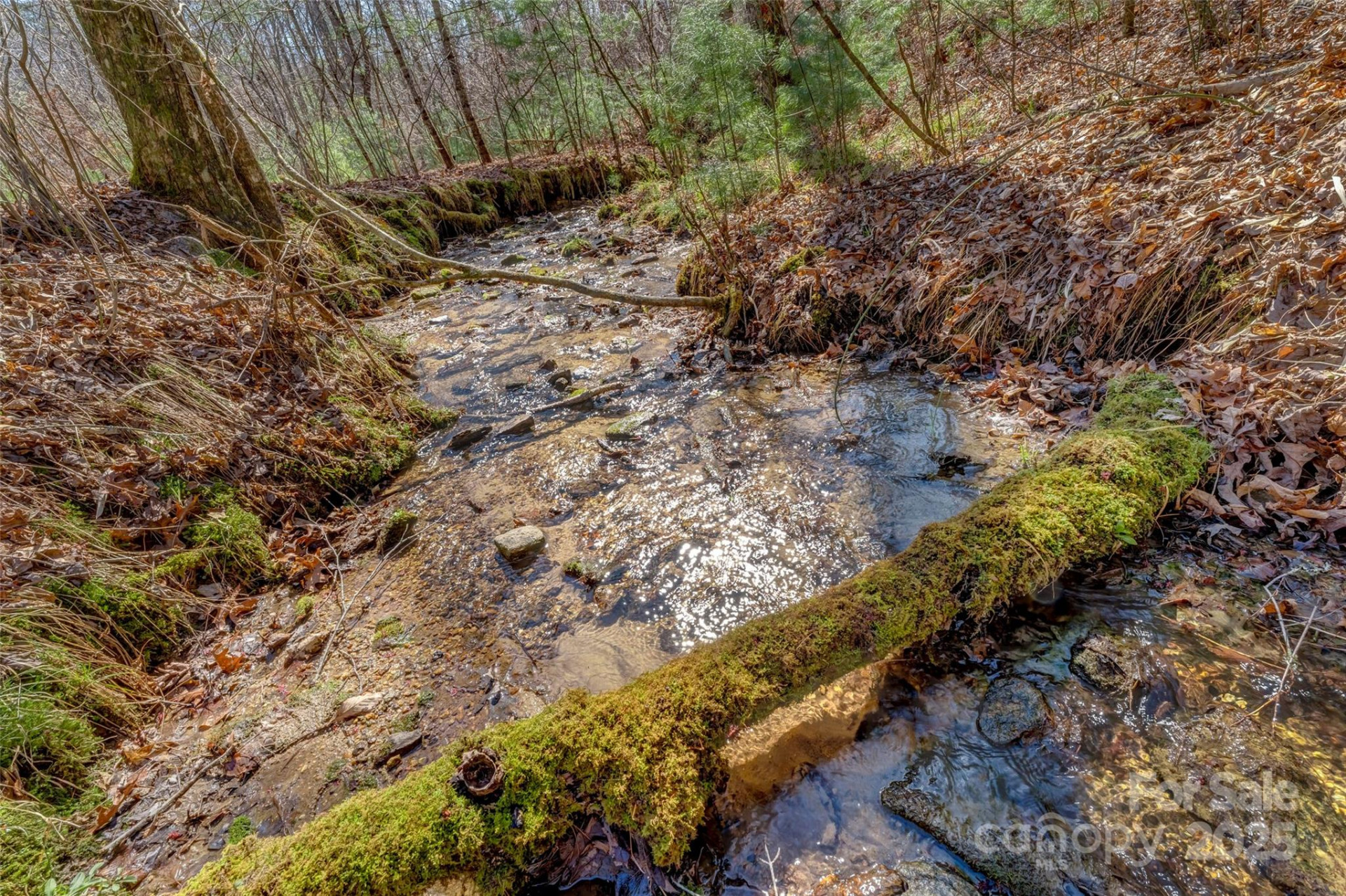 Lot 3 Walnut Hollow Road - Photo 4