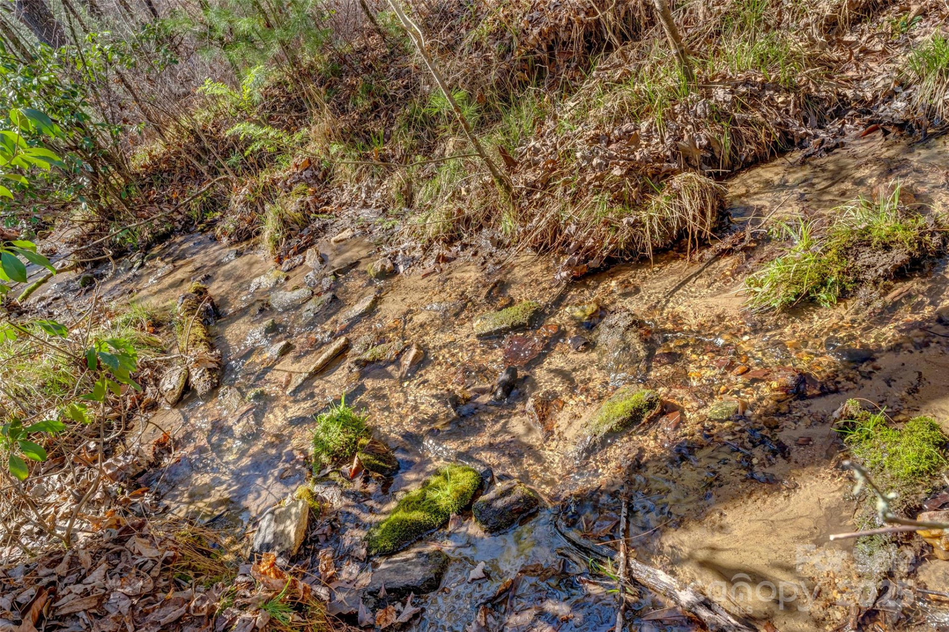 Lot 3 Walnut Hollow Road - Photo 5