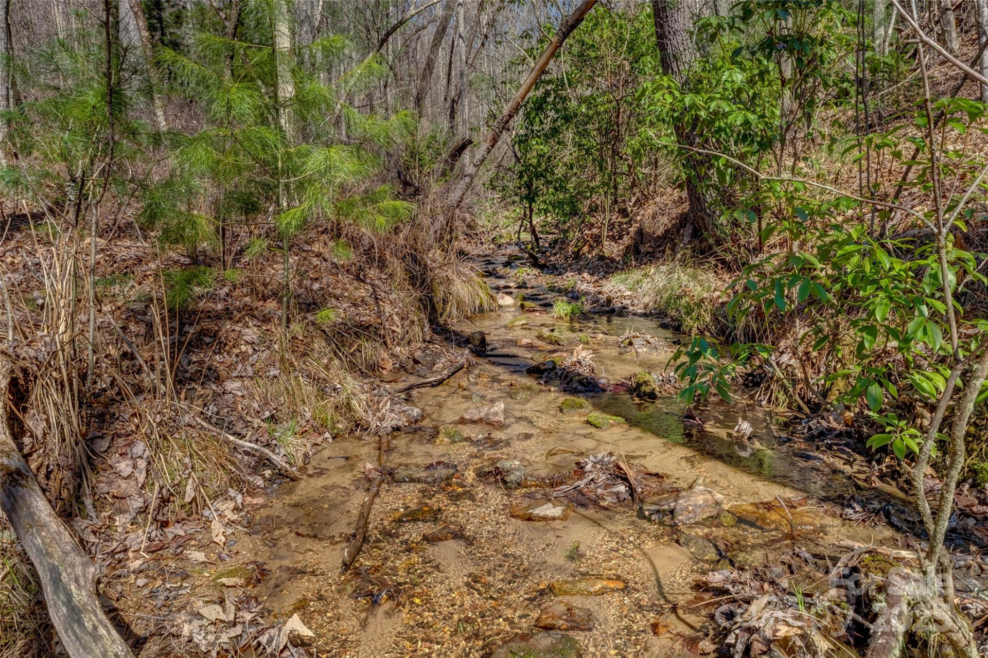 Lot 3 Walnut Hollow Road - Photo 6