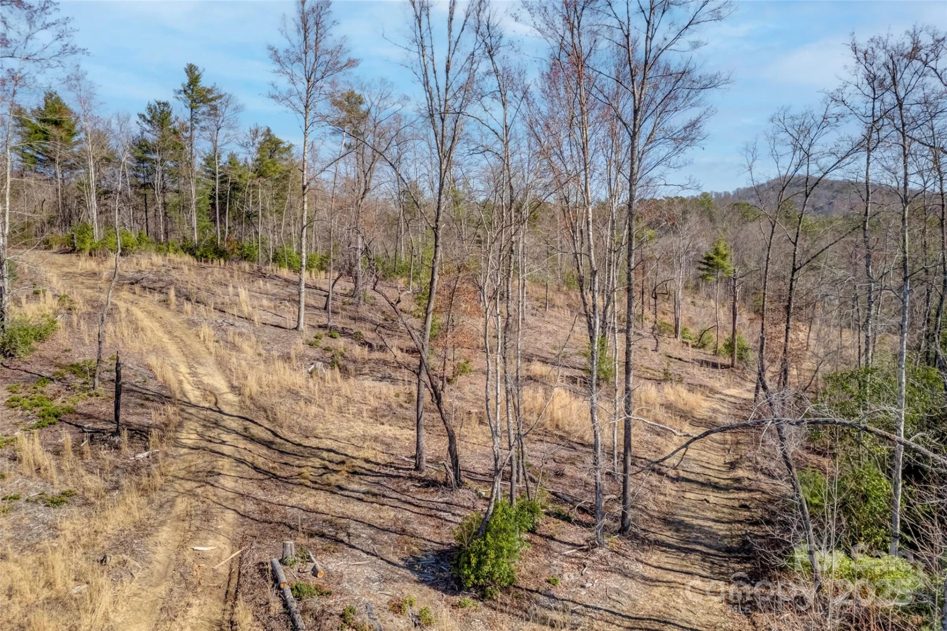 Lot 3 Walnut Hollow Road - Photo 7