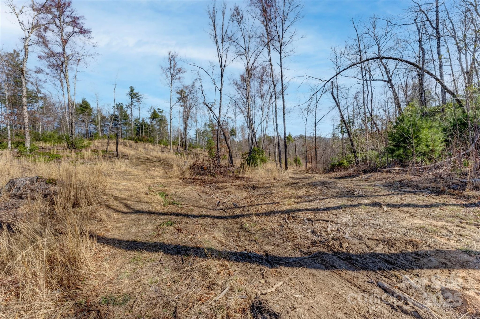Lot 3 Walnut Hollow Road - Photo 8