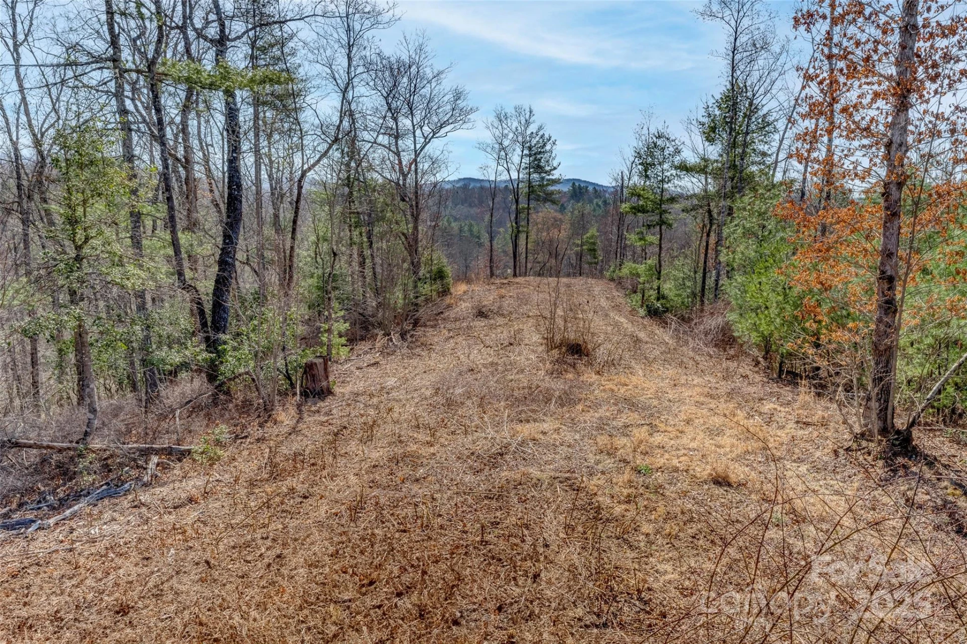 Lot 3 Walnut Hollow Road - Photo 9