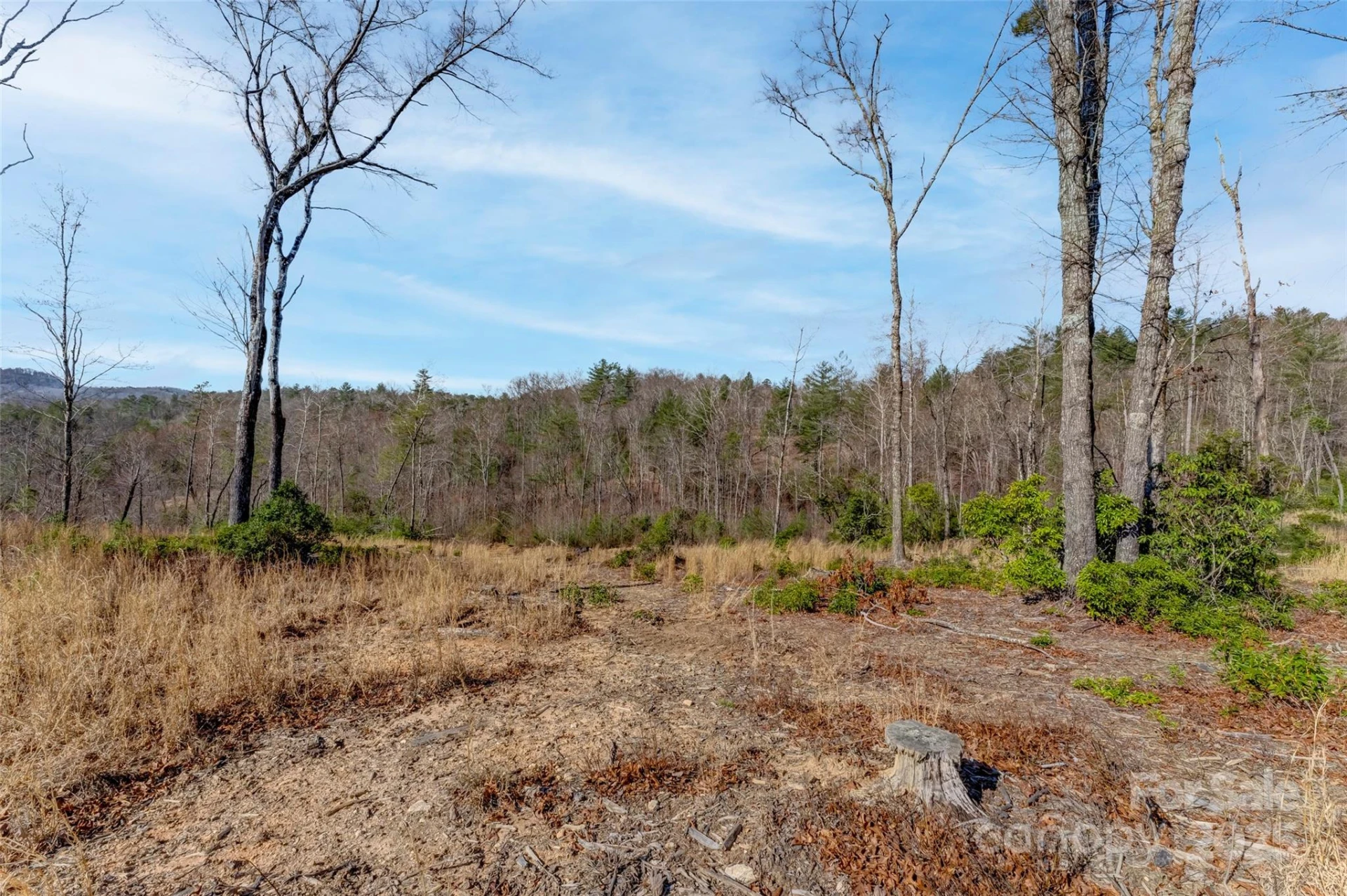 Lot 3 Walnut Hollow Road - Photo 10