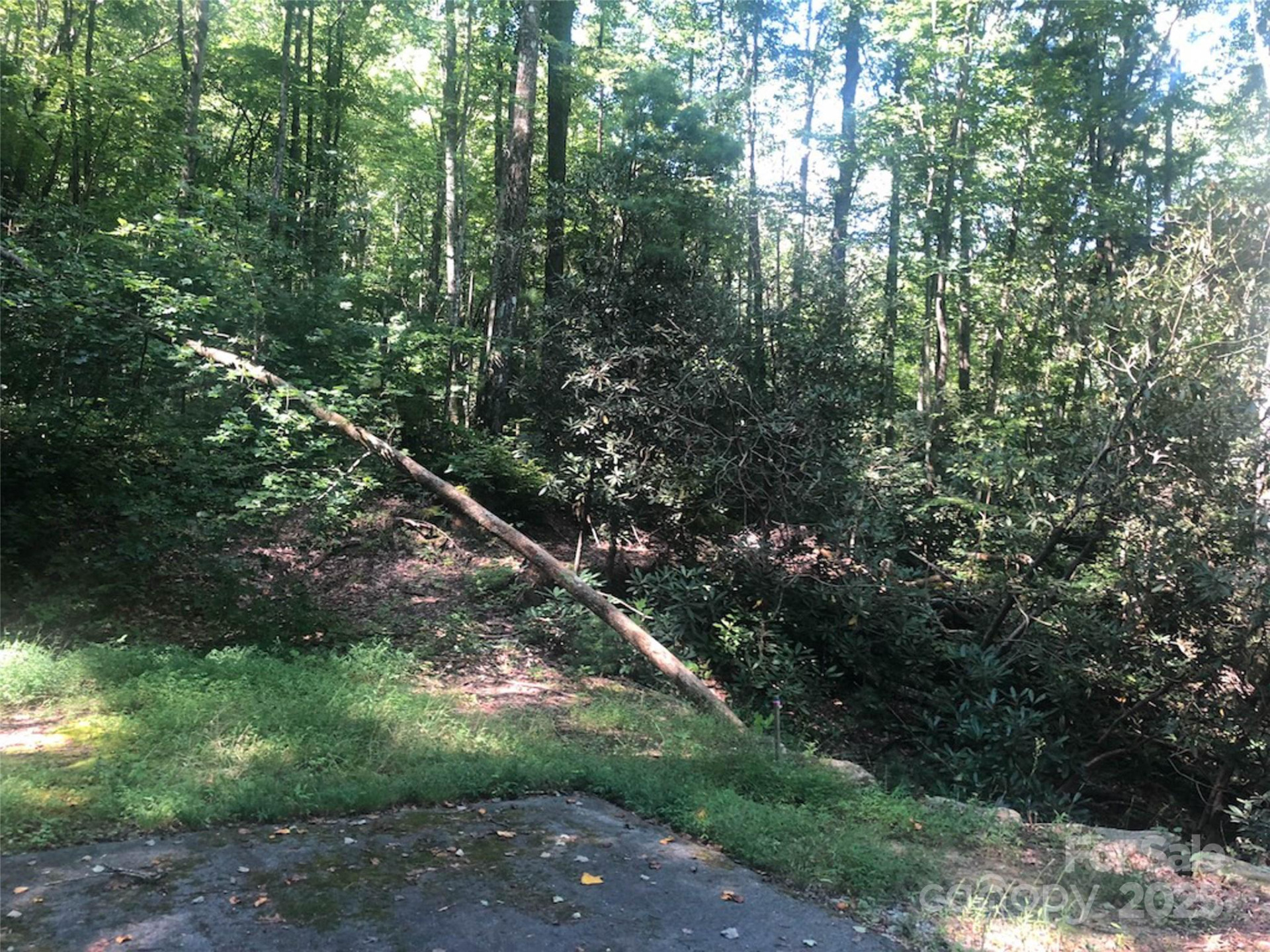 TBD Peppervine Circle #94