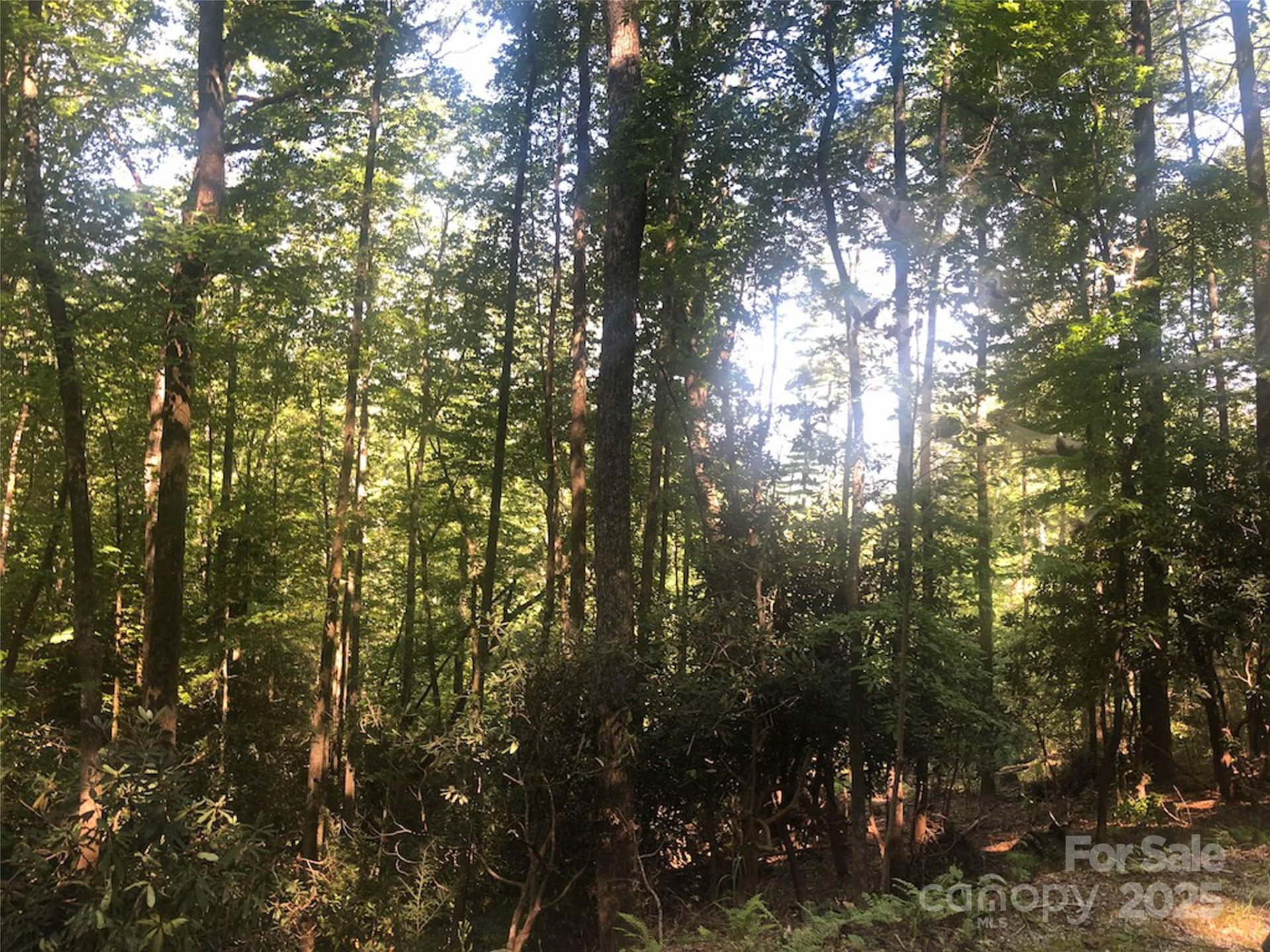 TBD Peppervine Circle #94 - Photo 2