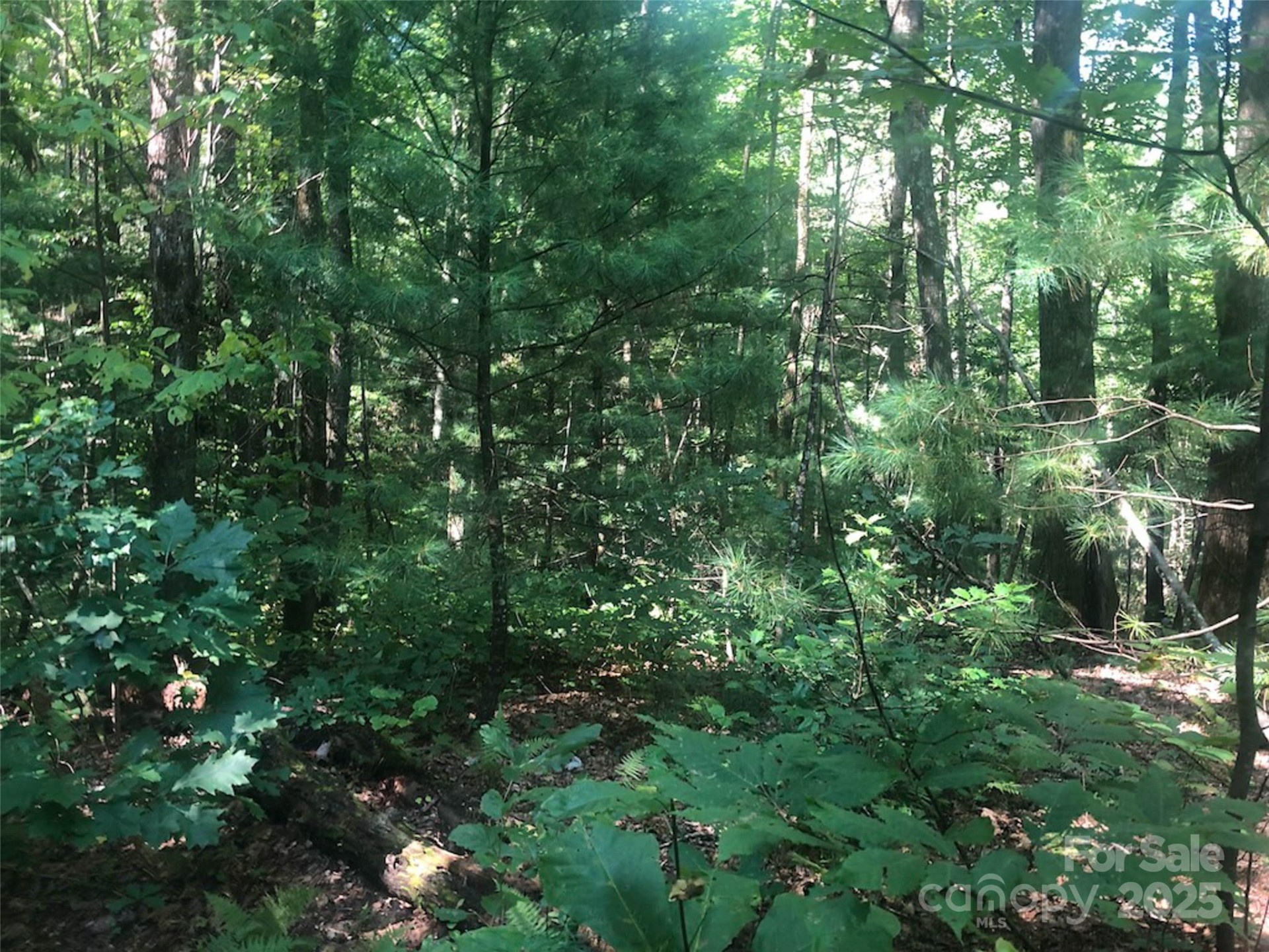 TBD Peppervine Circle #94 - Photo 3