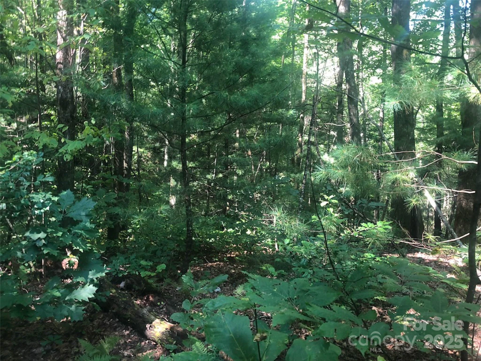 TBD Peppervine Circle #94 - Photo 3