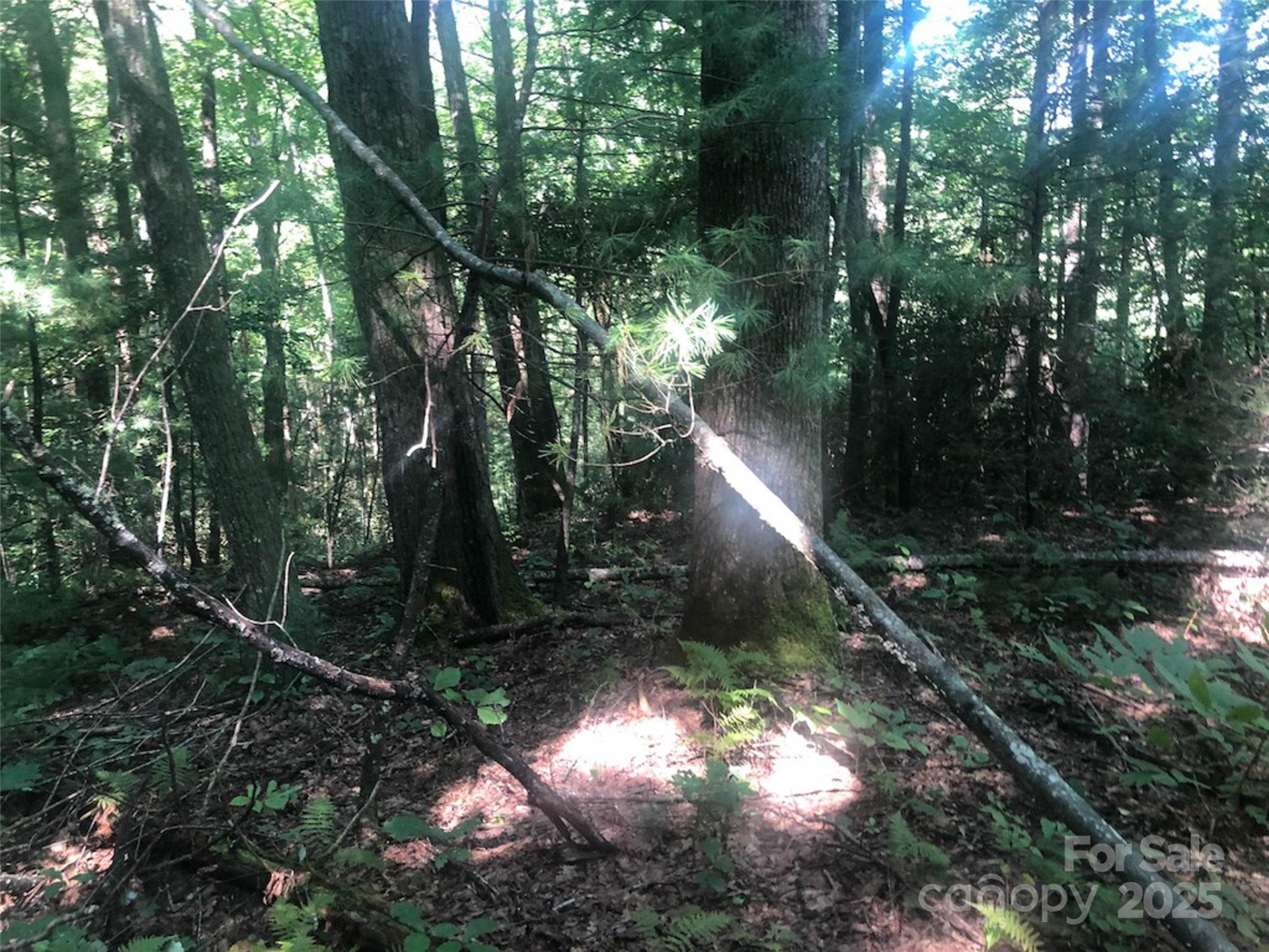 TBD Peppervine Circle #94 - Photo 4