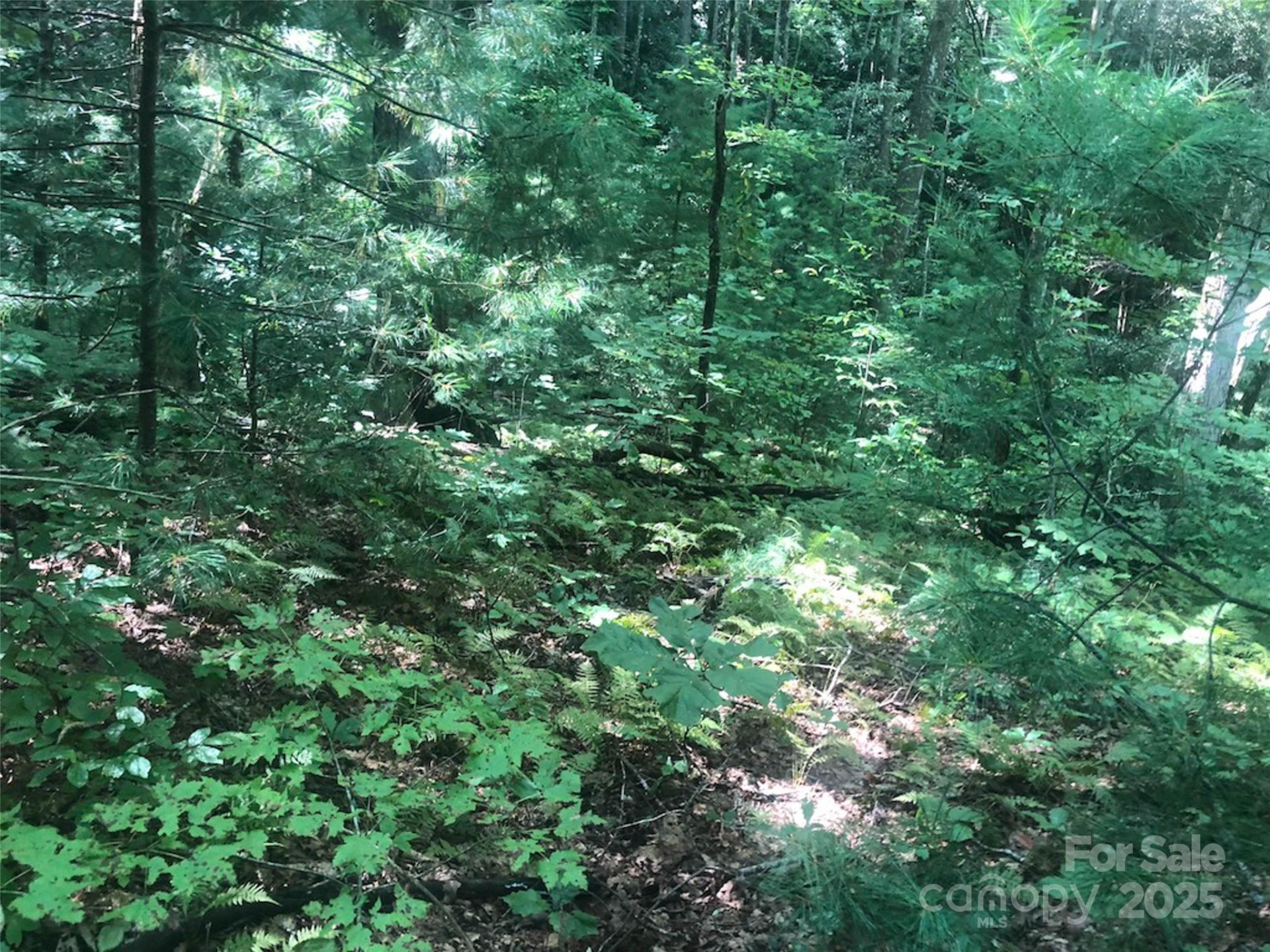 TBD Peppervine Circle #94 - Photo 5