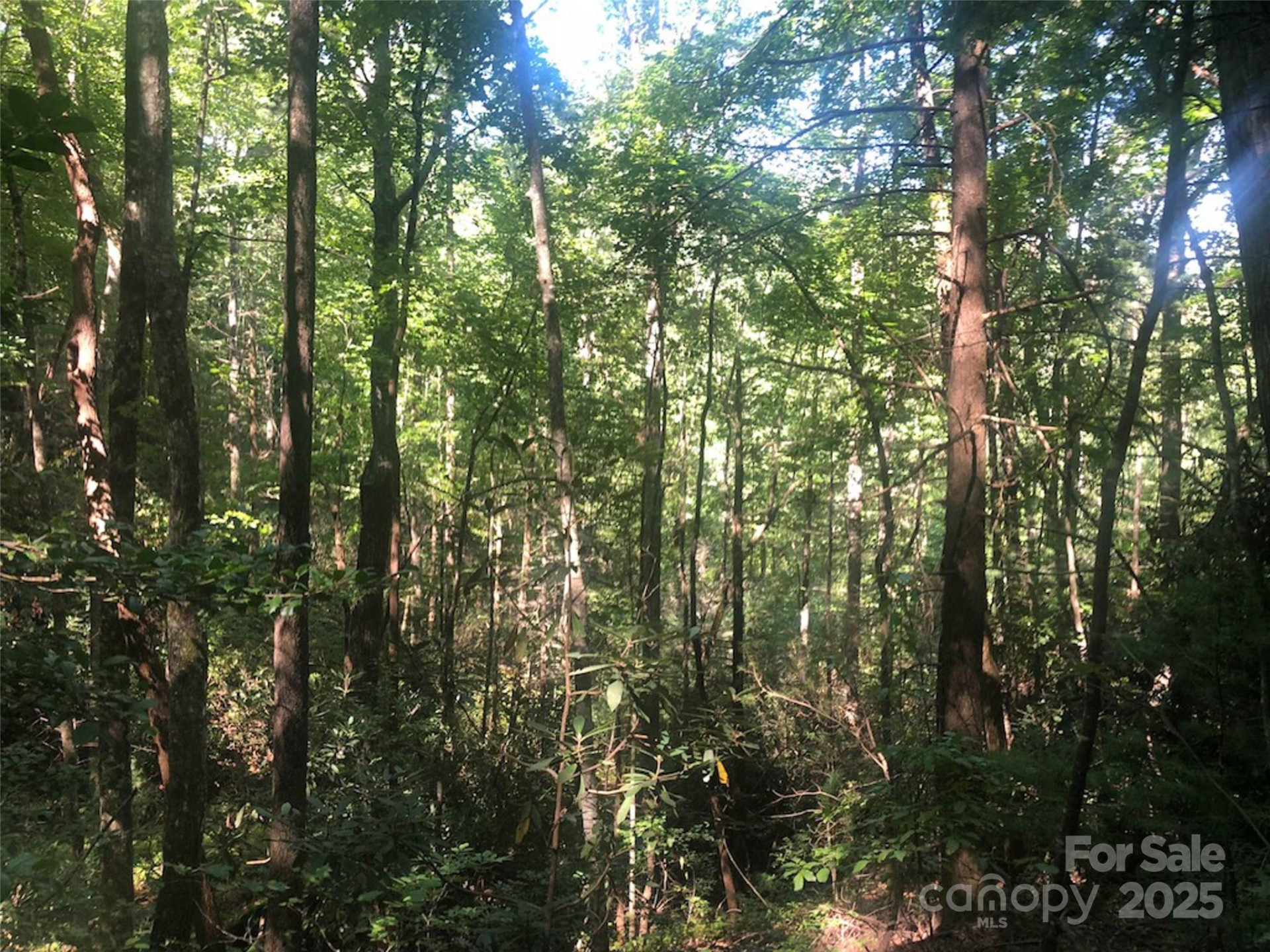 TBD Peppervine Circle #94 - Photo 6