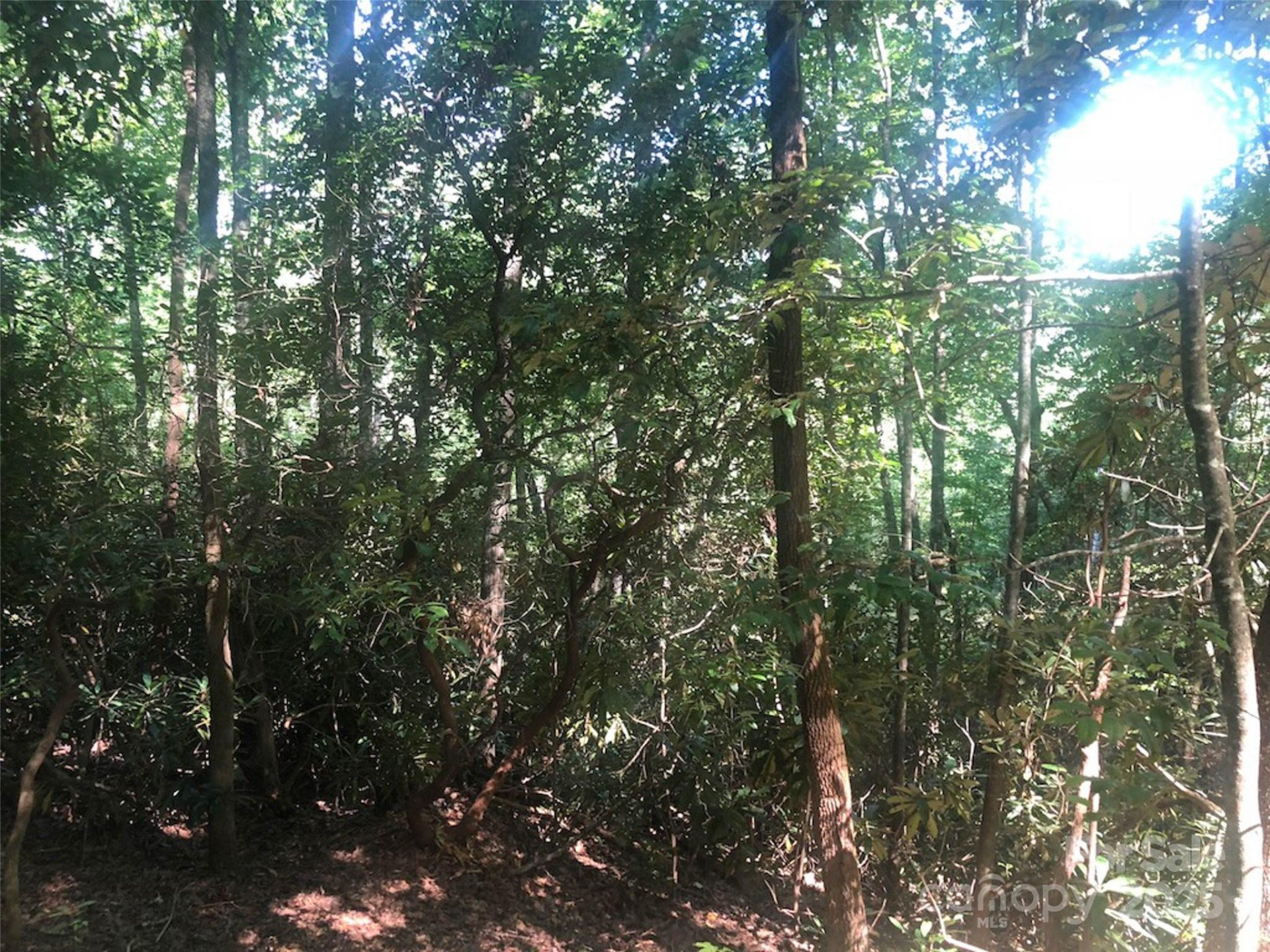 TBD Peppervine Circle #94 - Photo 7