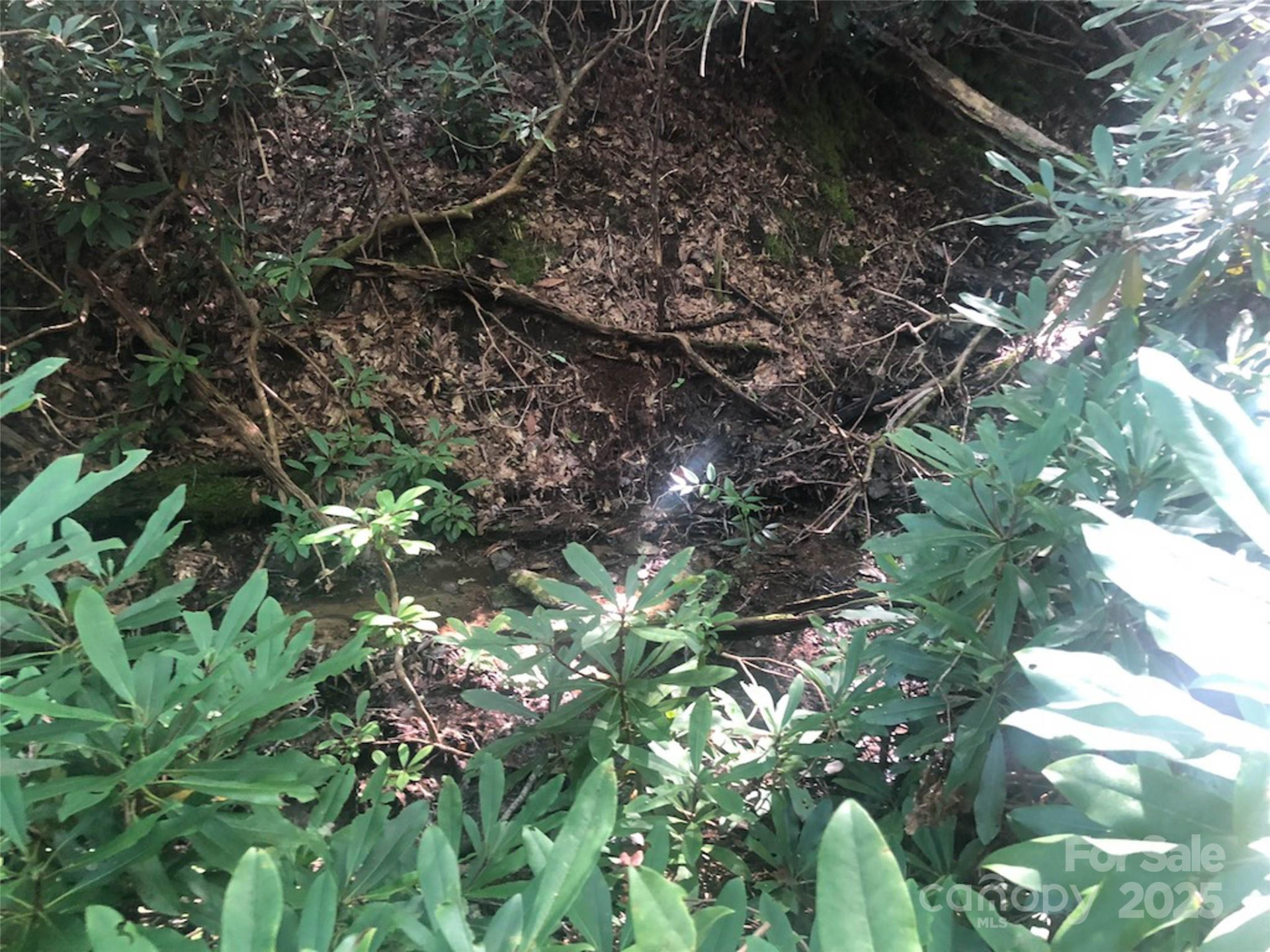 TBD Peppervine Circle #94 - Photo 8