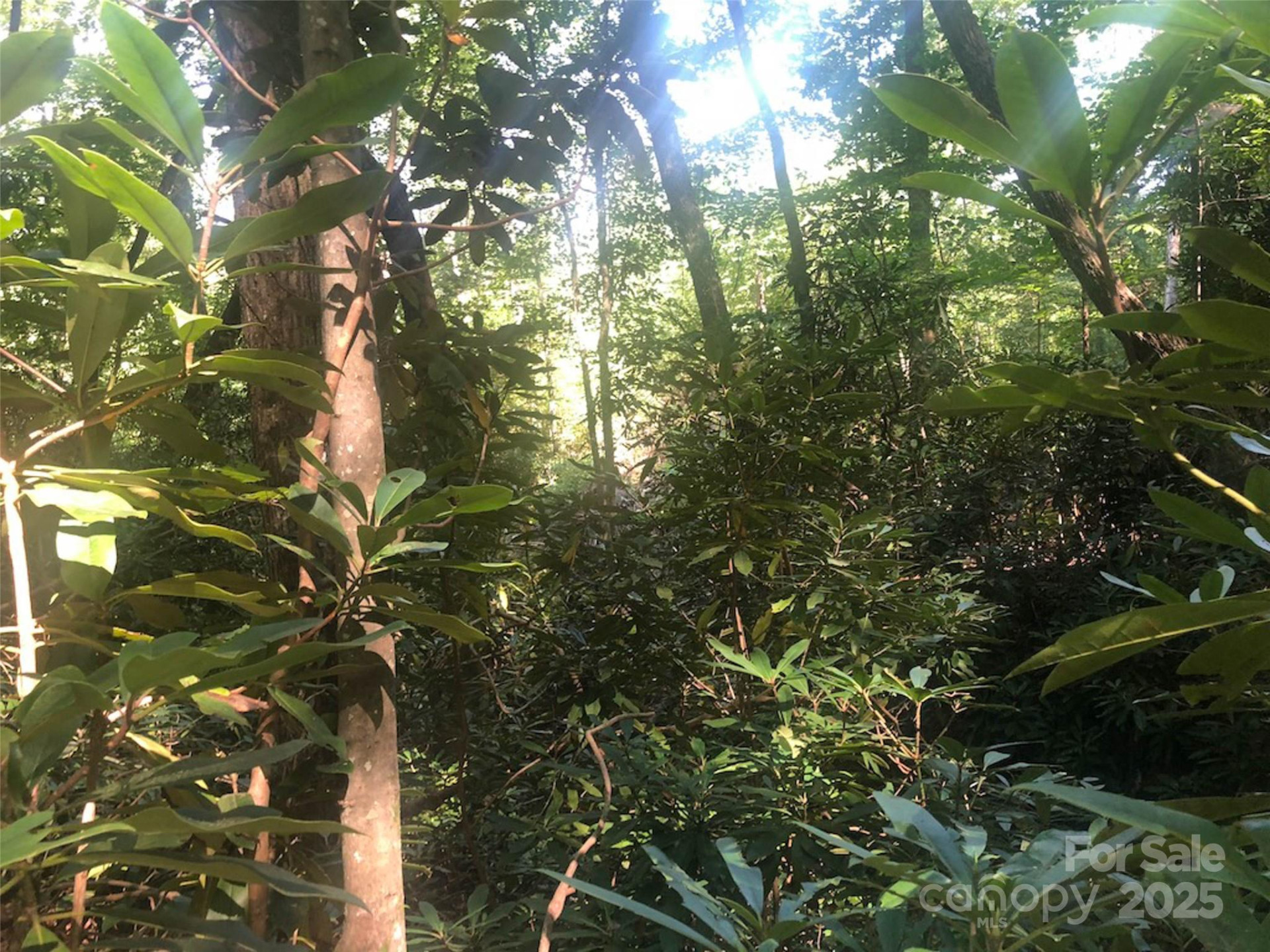 TBD Peppervine Circle #94 - Photo 9