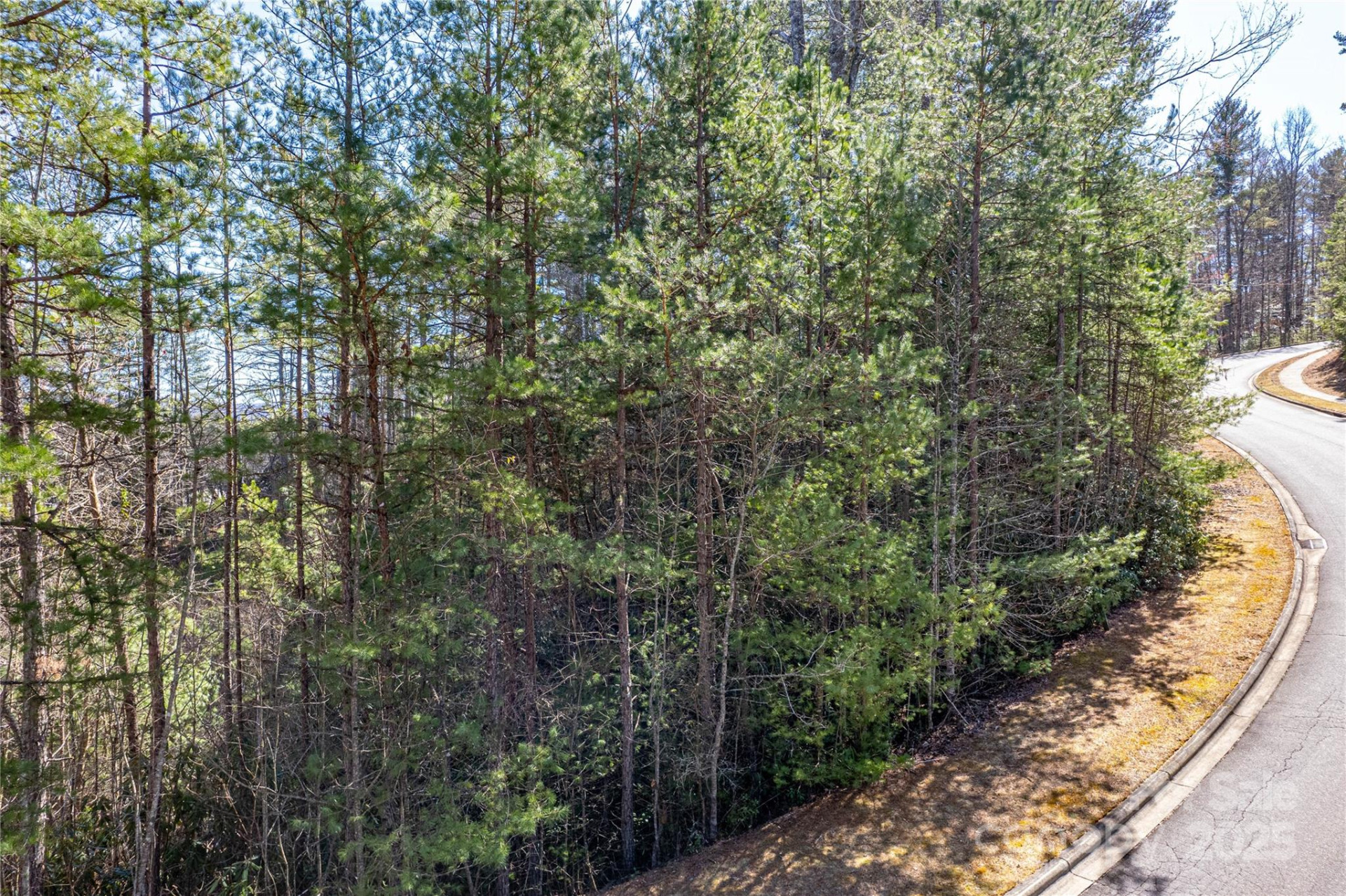 TBD Camptown Road #M139 - Photo 2