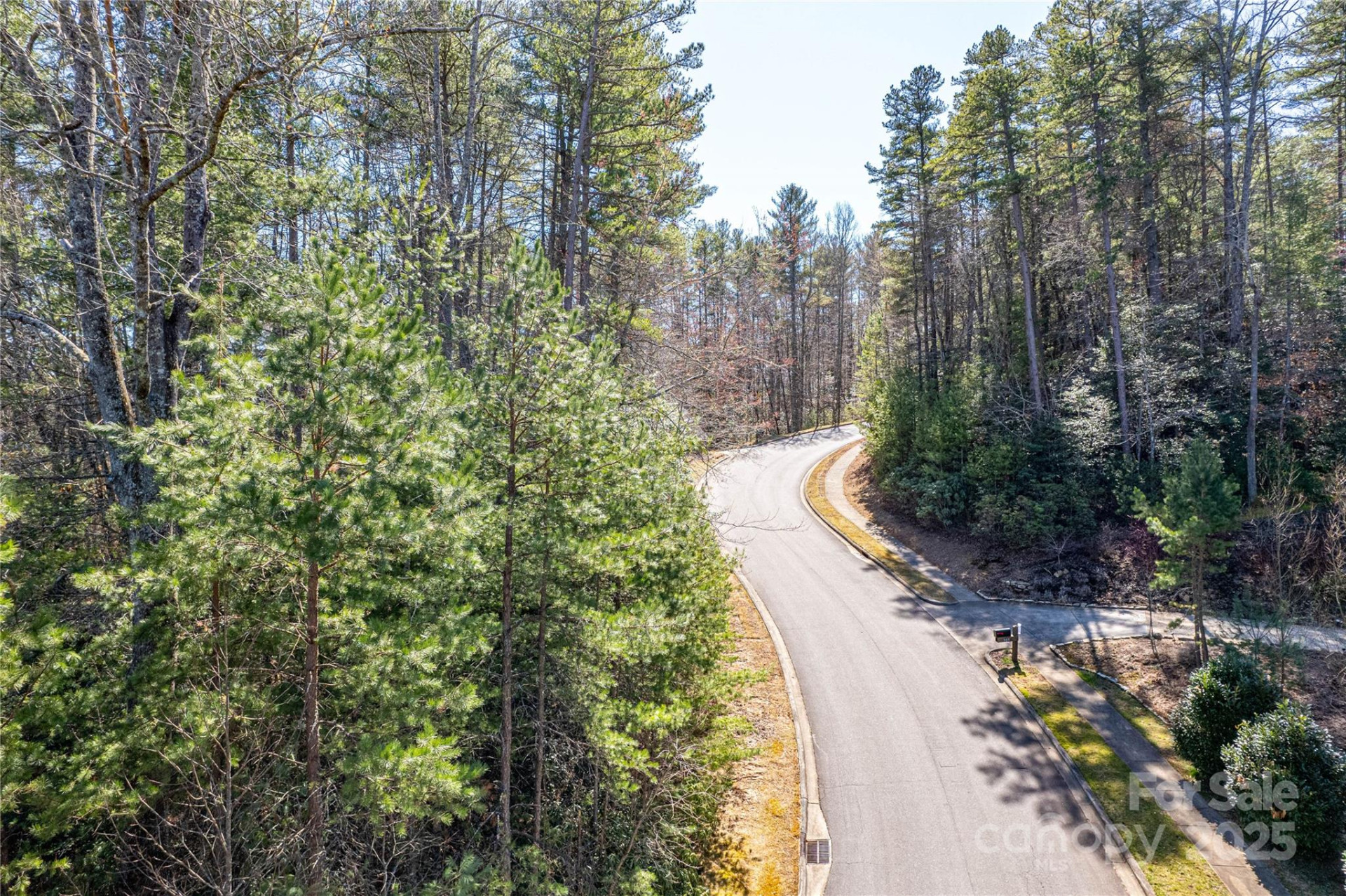 TBD Camptown Road #M139 - Photo 3