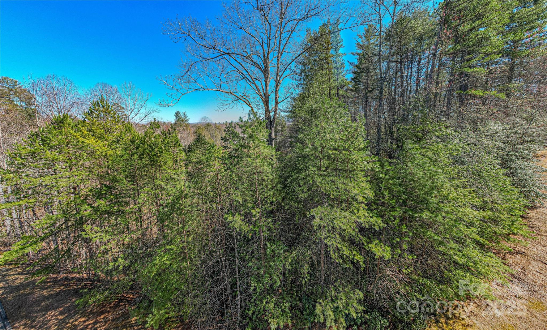 TBD Camptown Road #M139 - Photo 4