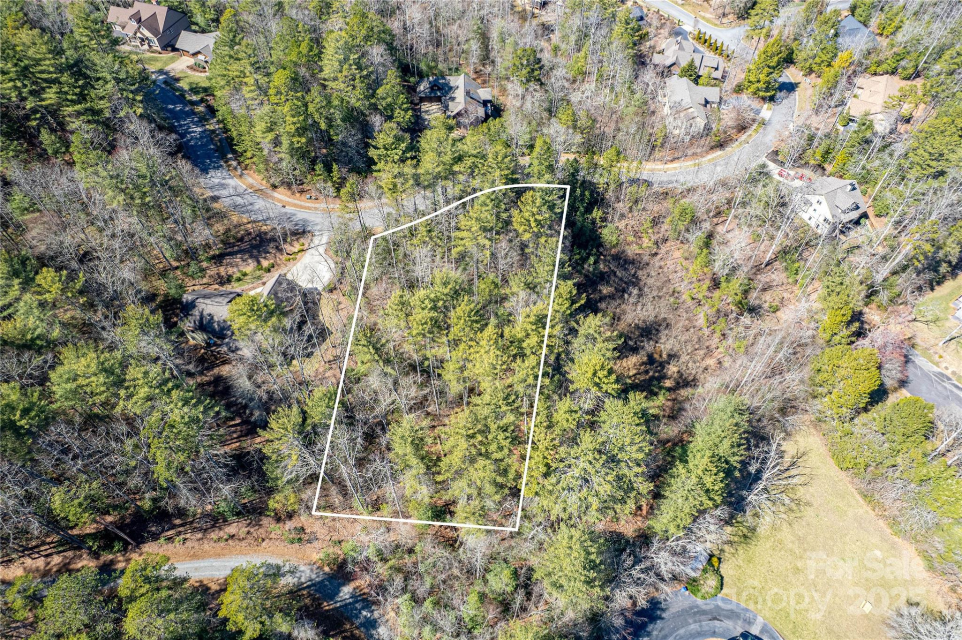 TBD Camptown Road #M139 - Photo 7