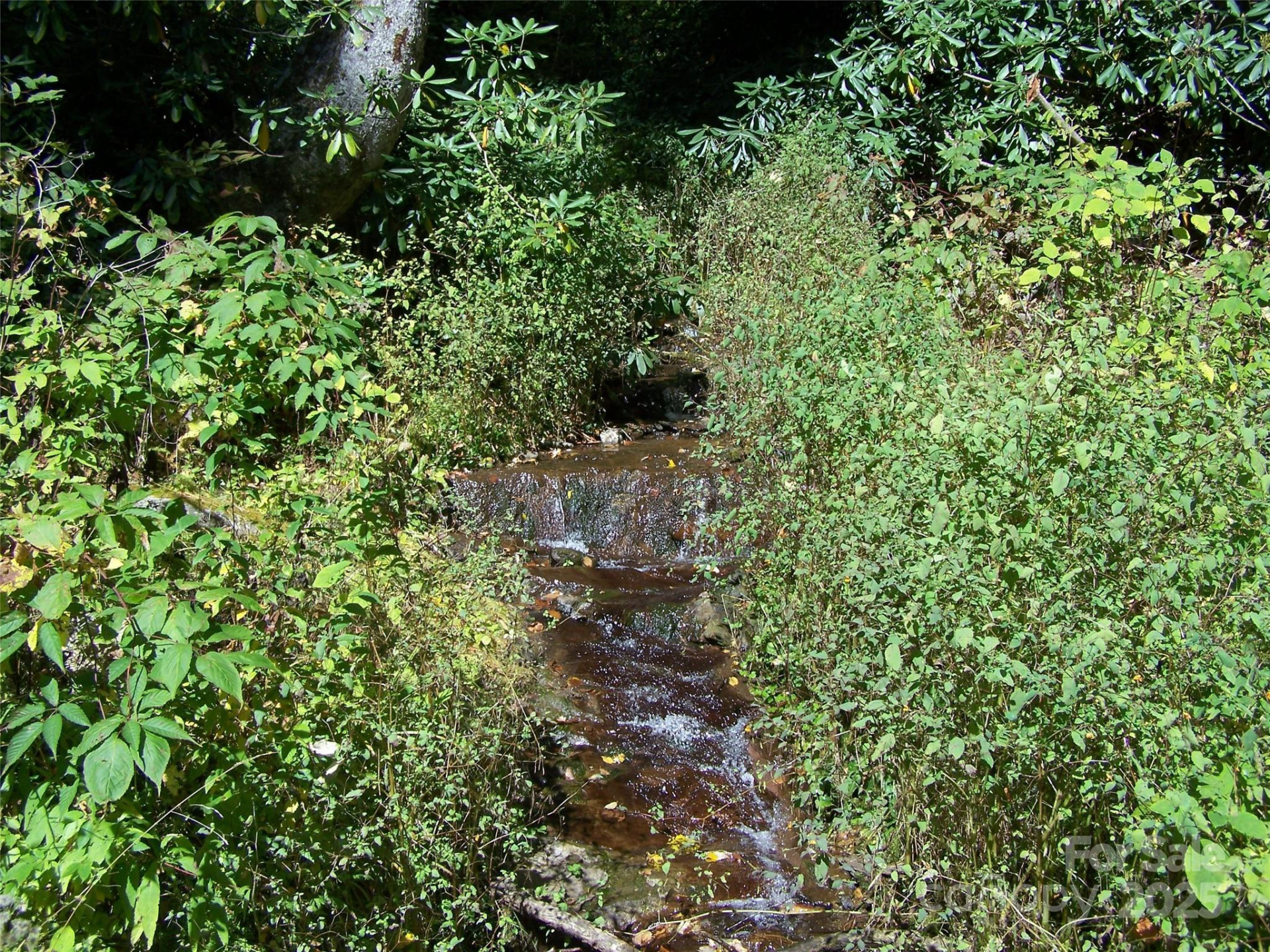 000 Fie Top Road - Photo 11