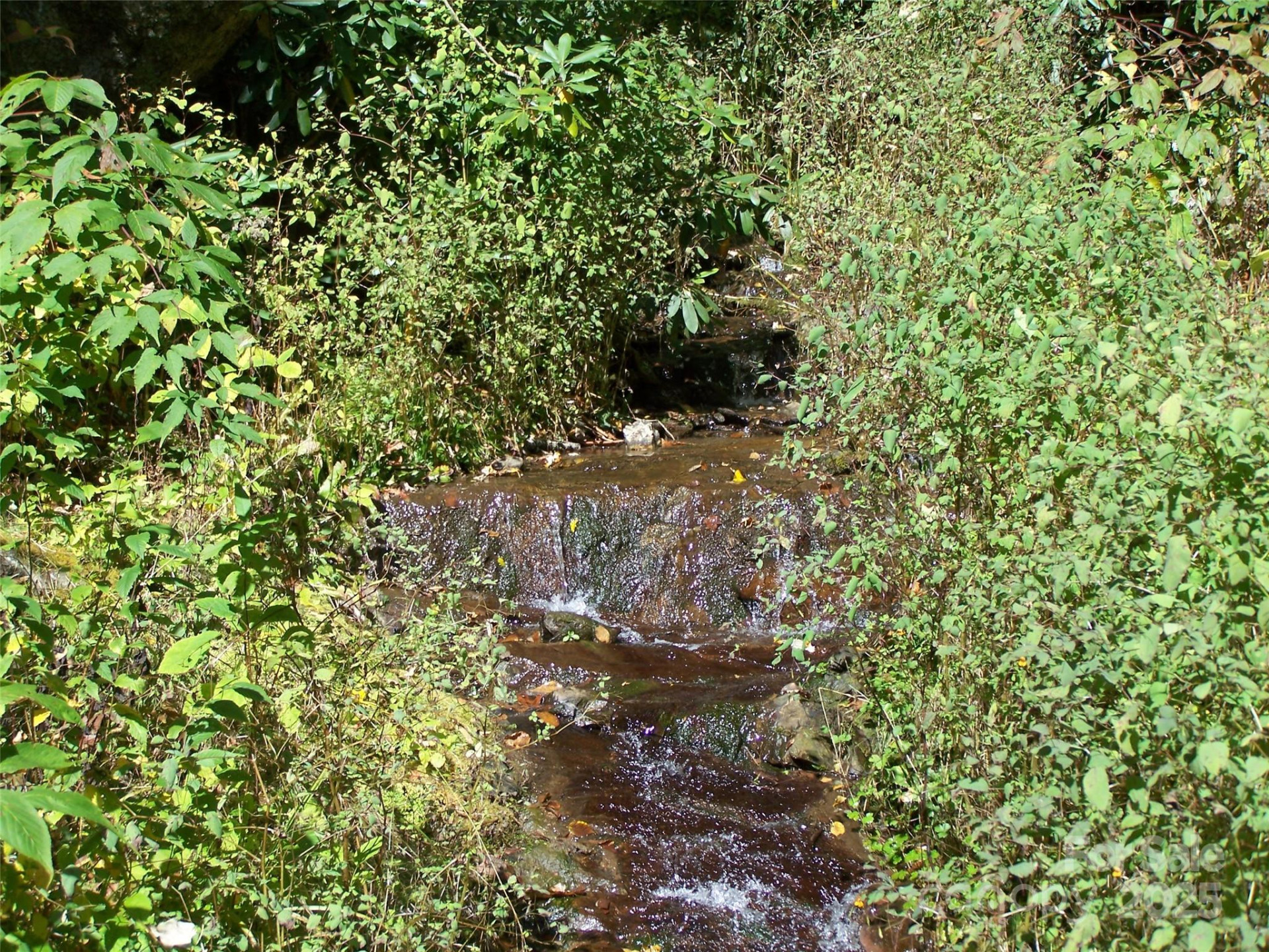 000 Fie Top Road - Photo 12