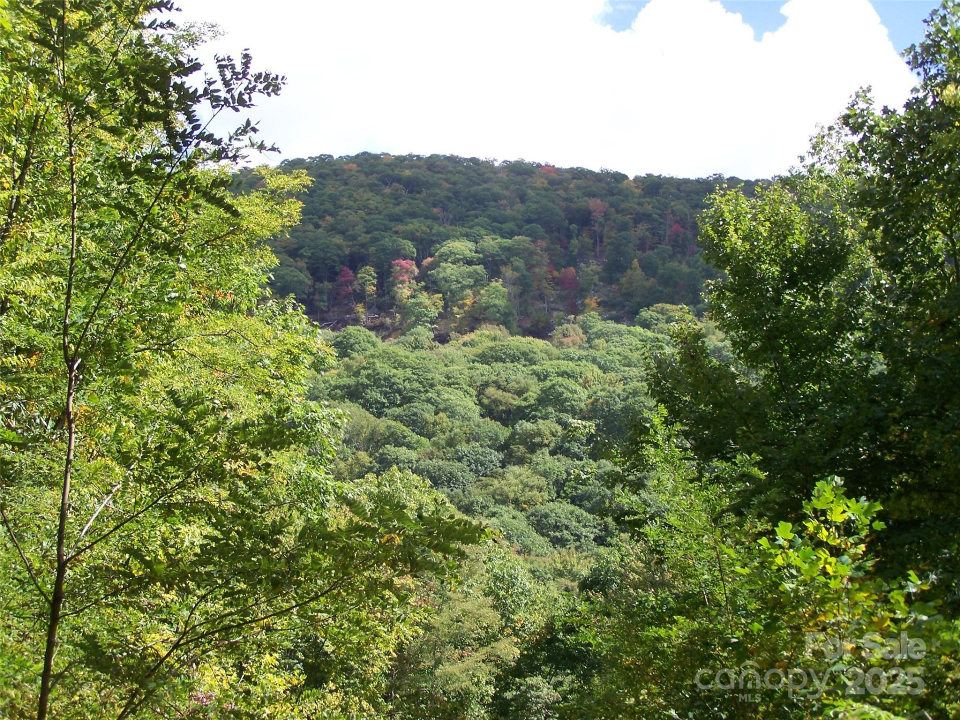 000 Fie Top Road - Photo 13