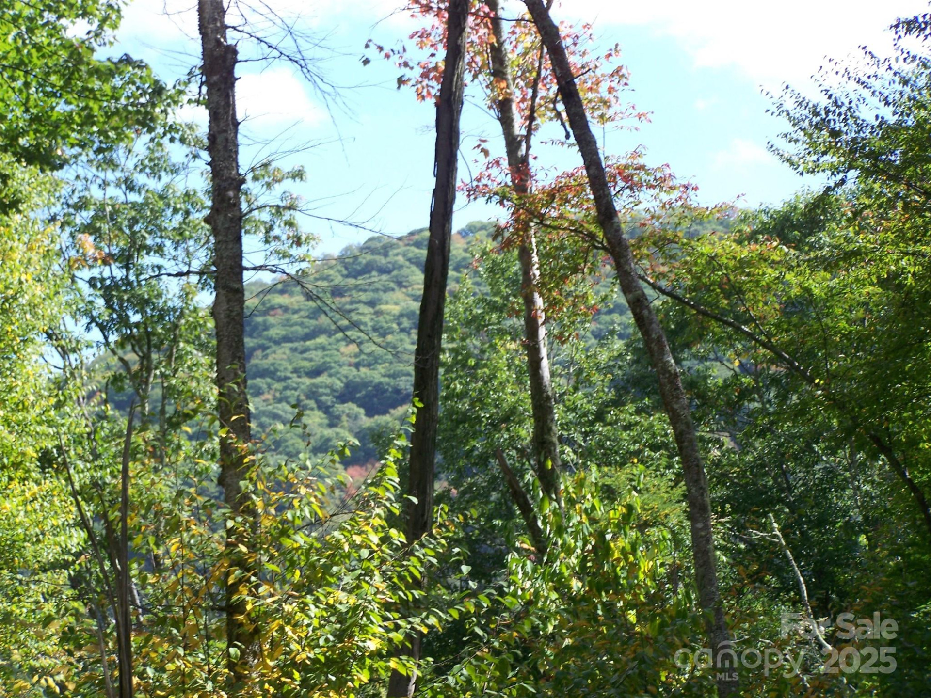 000 Fie Top Road - Photo 14