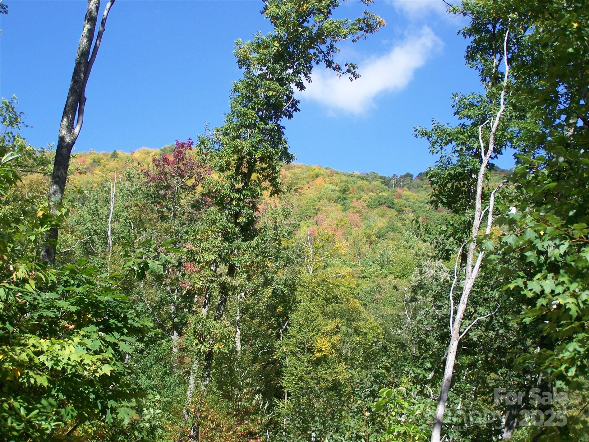 000 Fie Top Road - Photo 15