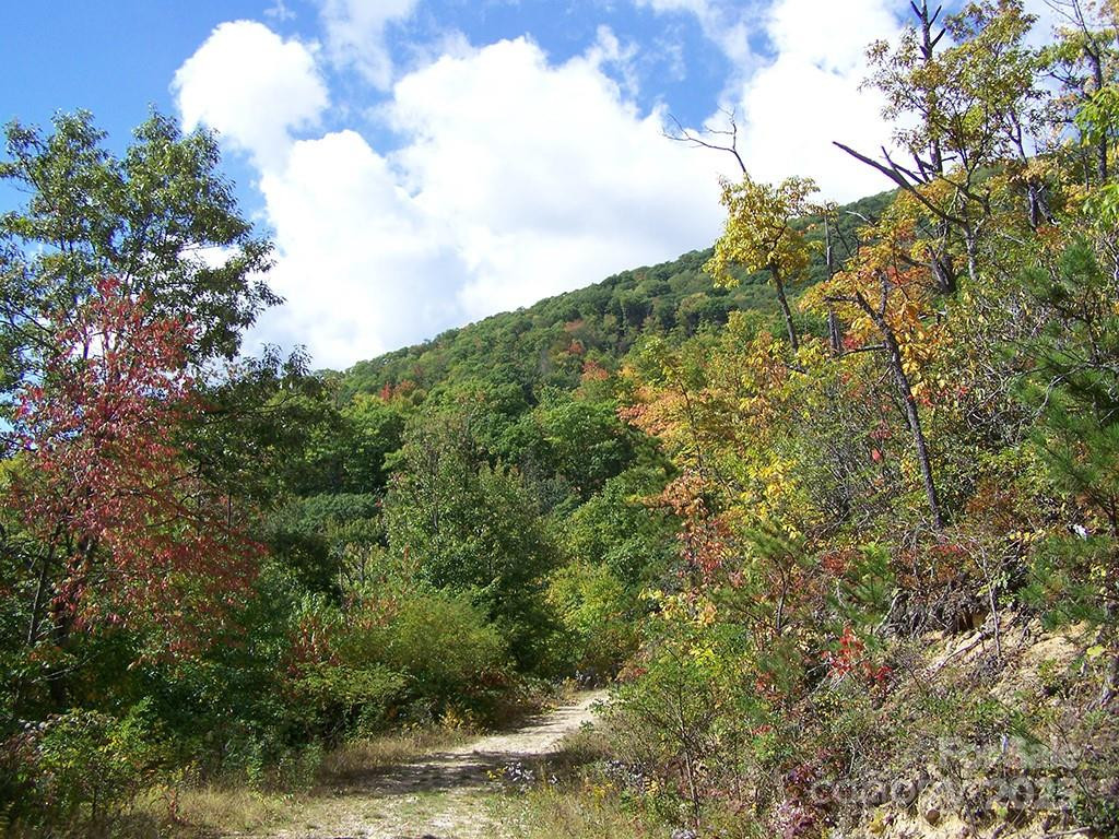 000 Fie Top Road - Photo 16