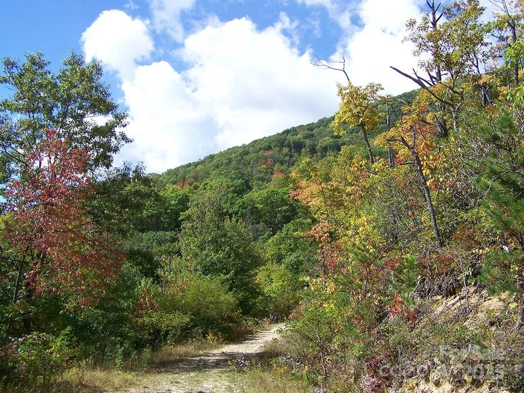 000 Fie Top Road - Photo 16