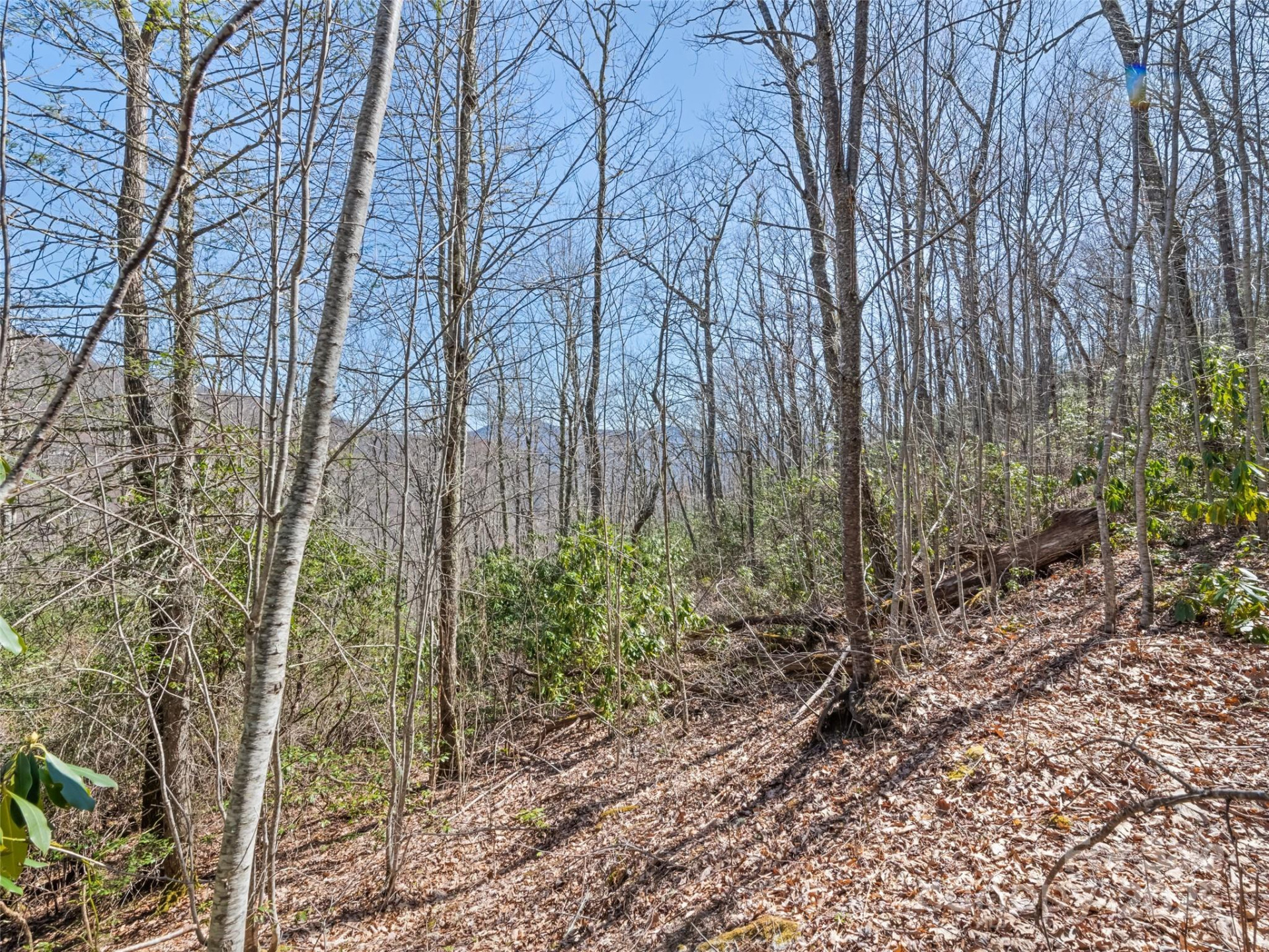 000 Fie Top Road - Photo 21