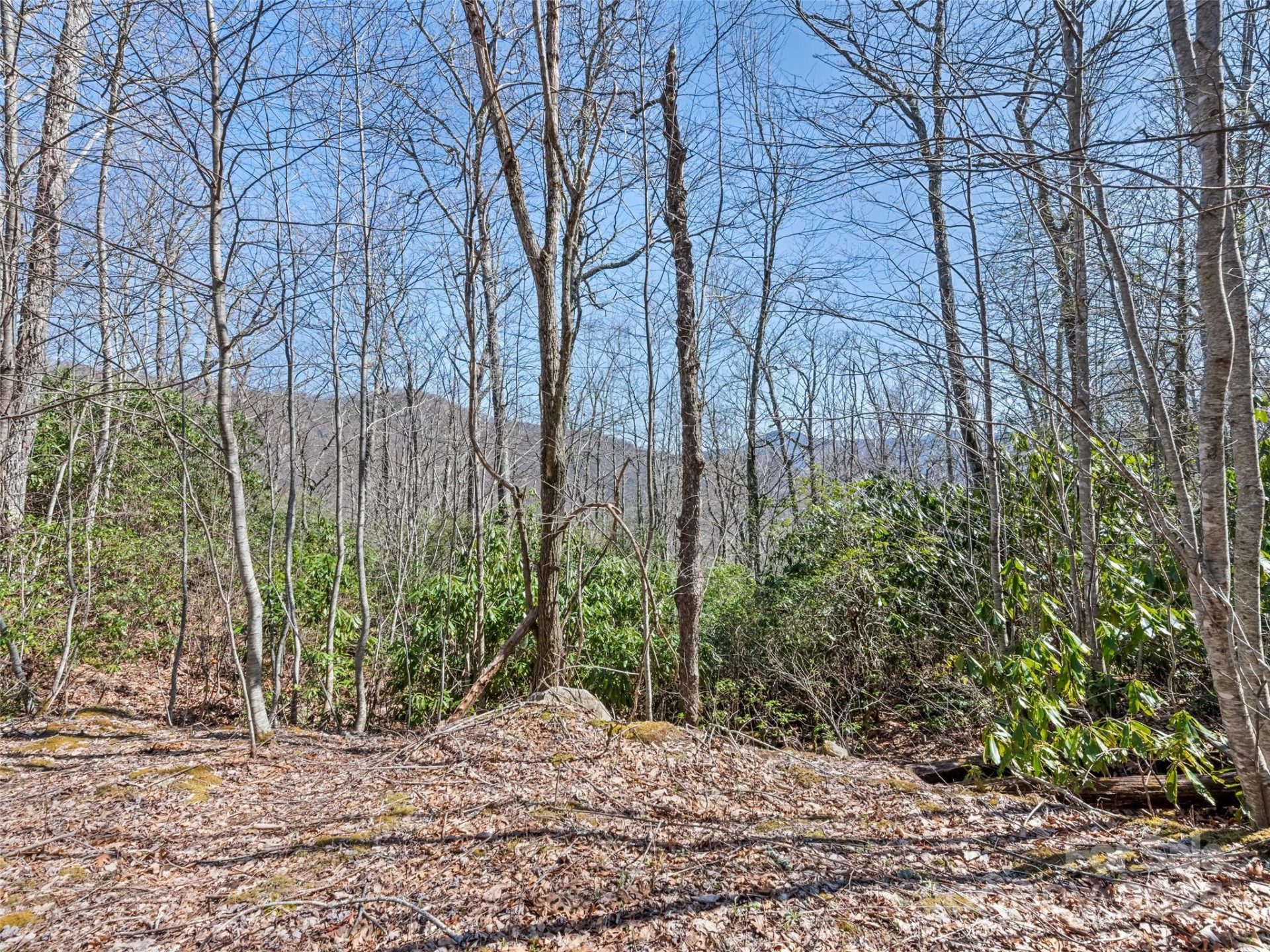 000 Fie Top Road - Photo 22