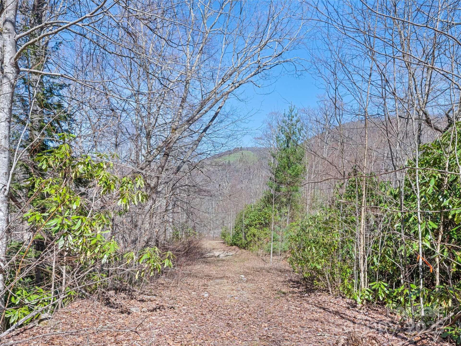 000 Fie Top Road - Photo 23