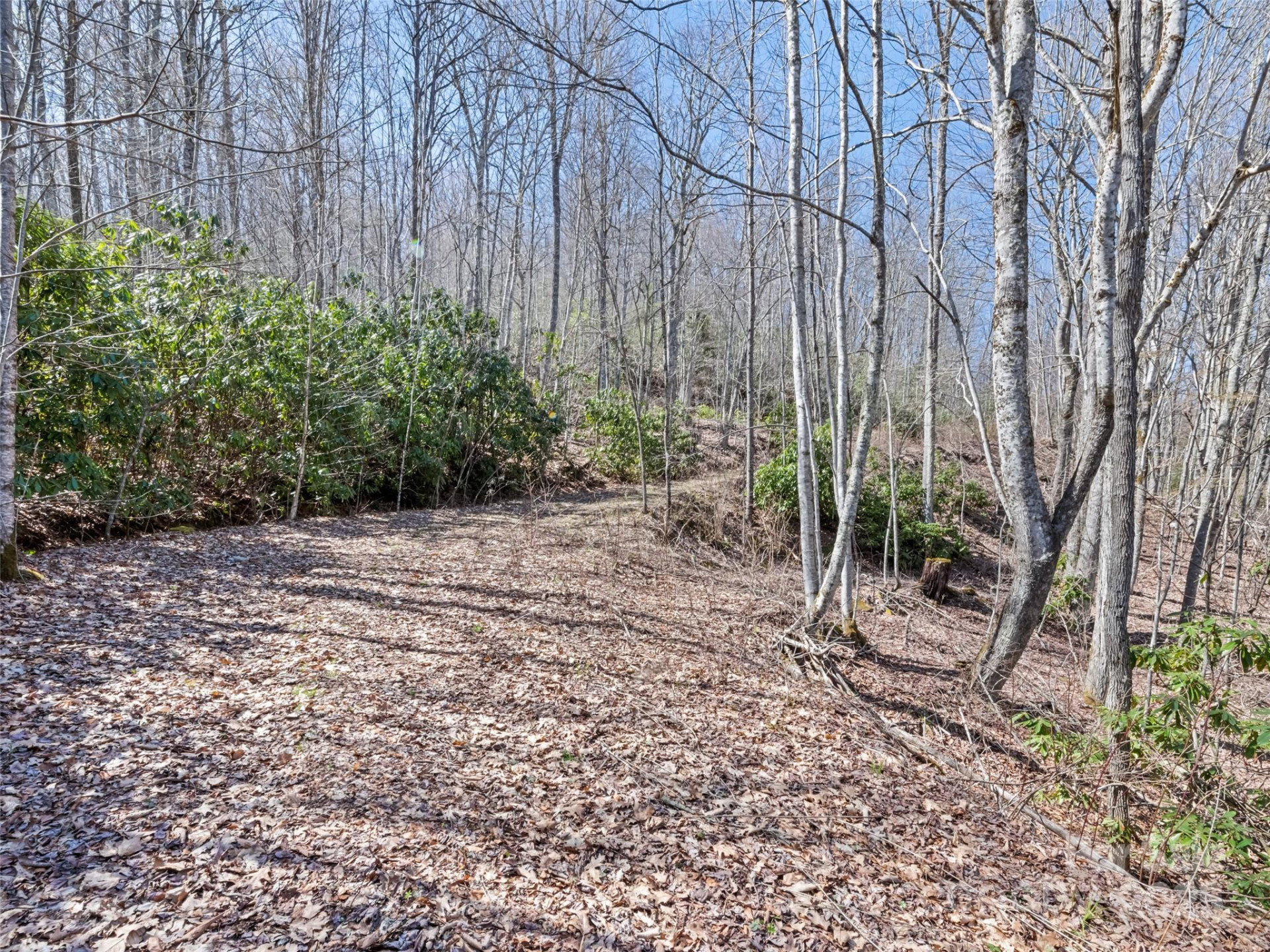 000 Fie Top Road - Photo 24