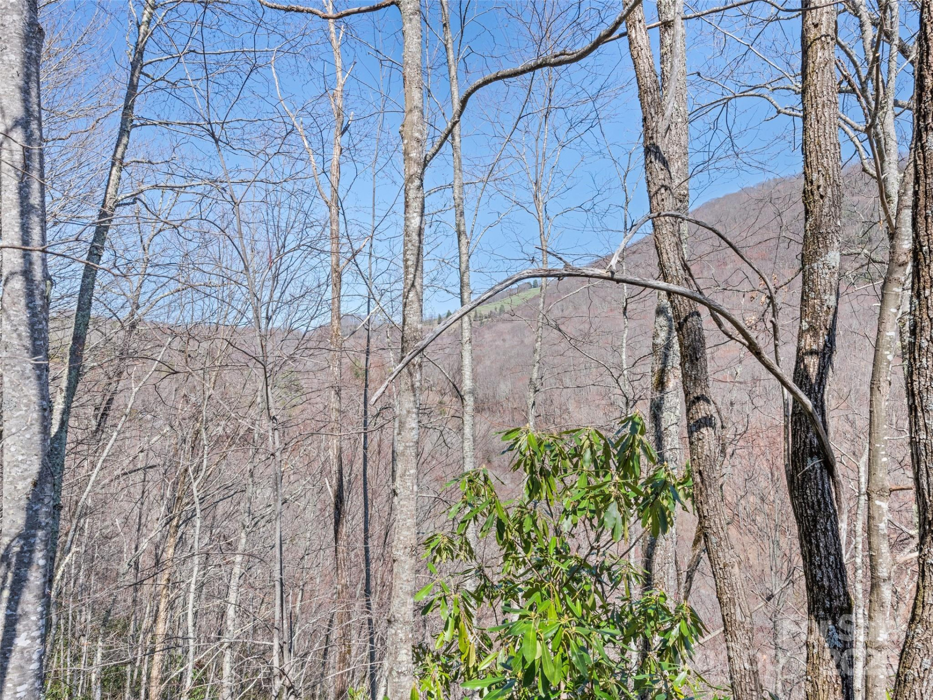 000 Fie Top Road - Photo 26