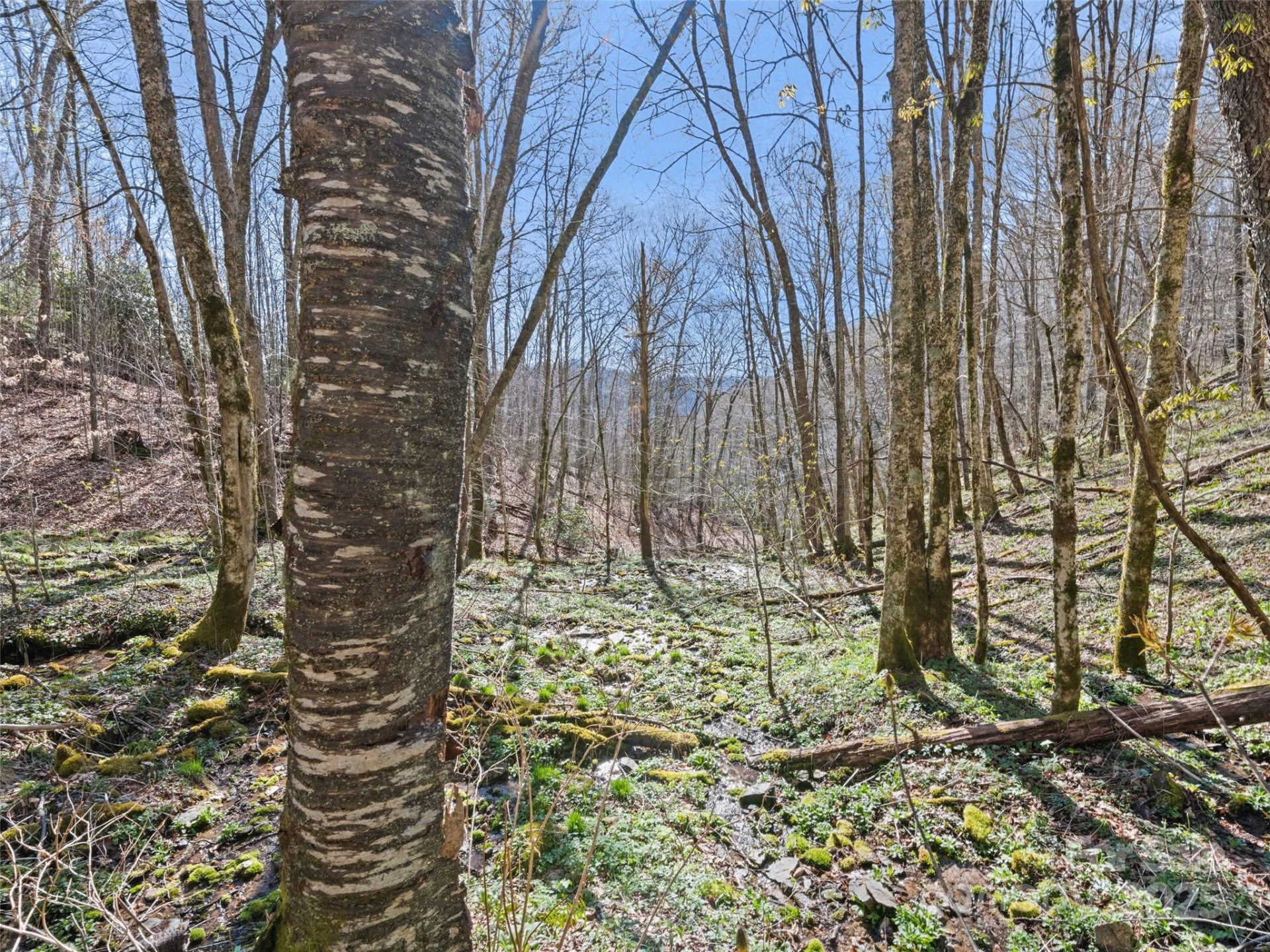 000 Fie Top Road - Photo 27