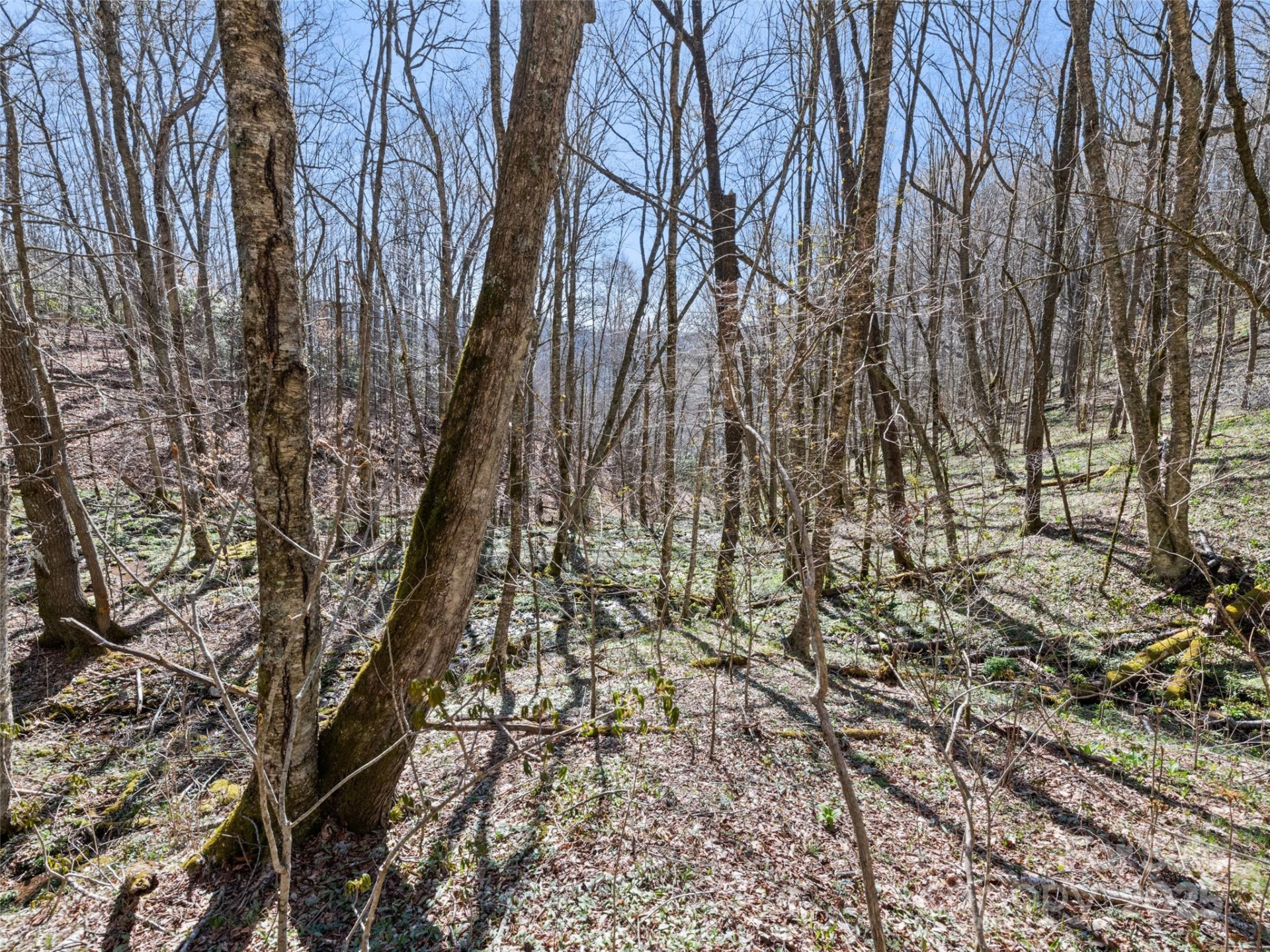 000 Fie Top Road - Photo 28