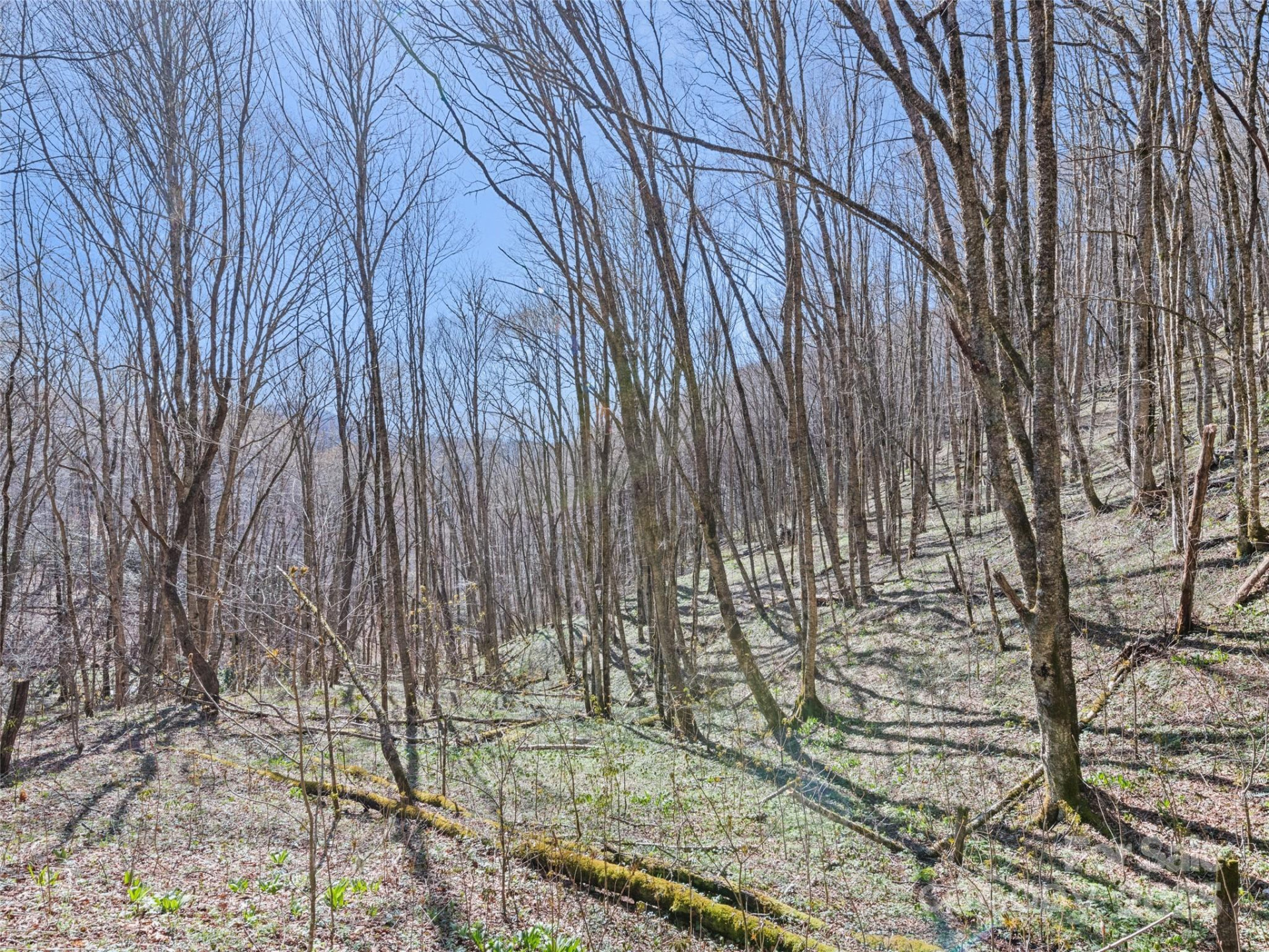 000 Fie Top Road - Photo 29