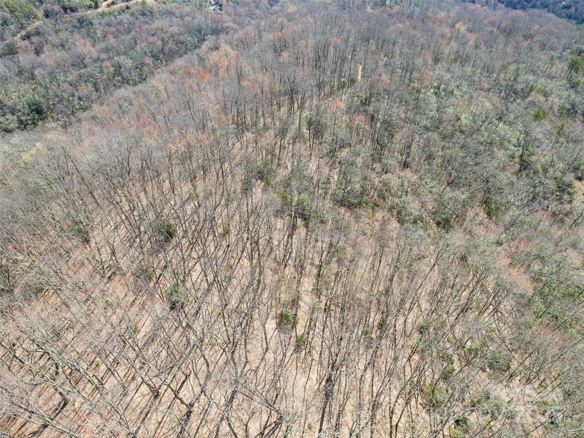 000 Fie Top Road - Photo 37