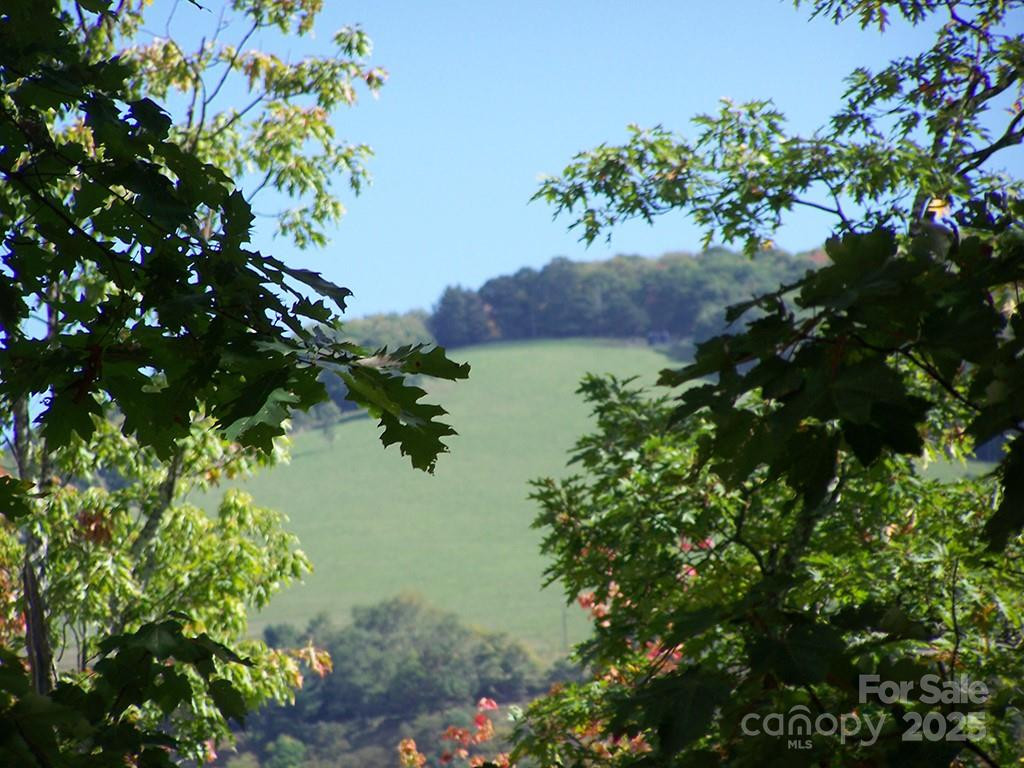 000 Fie Top Road - Photo 5