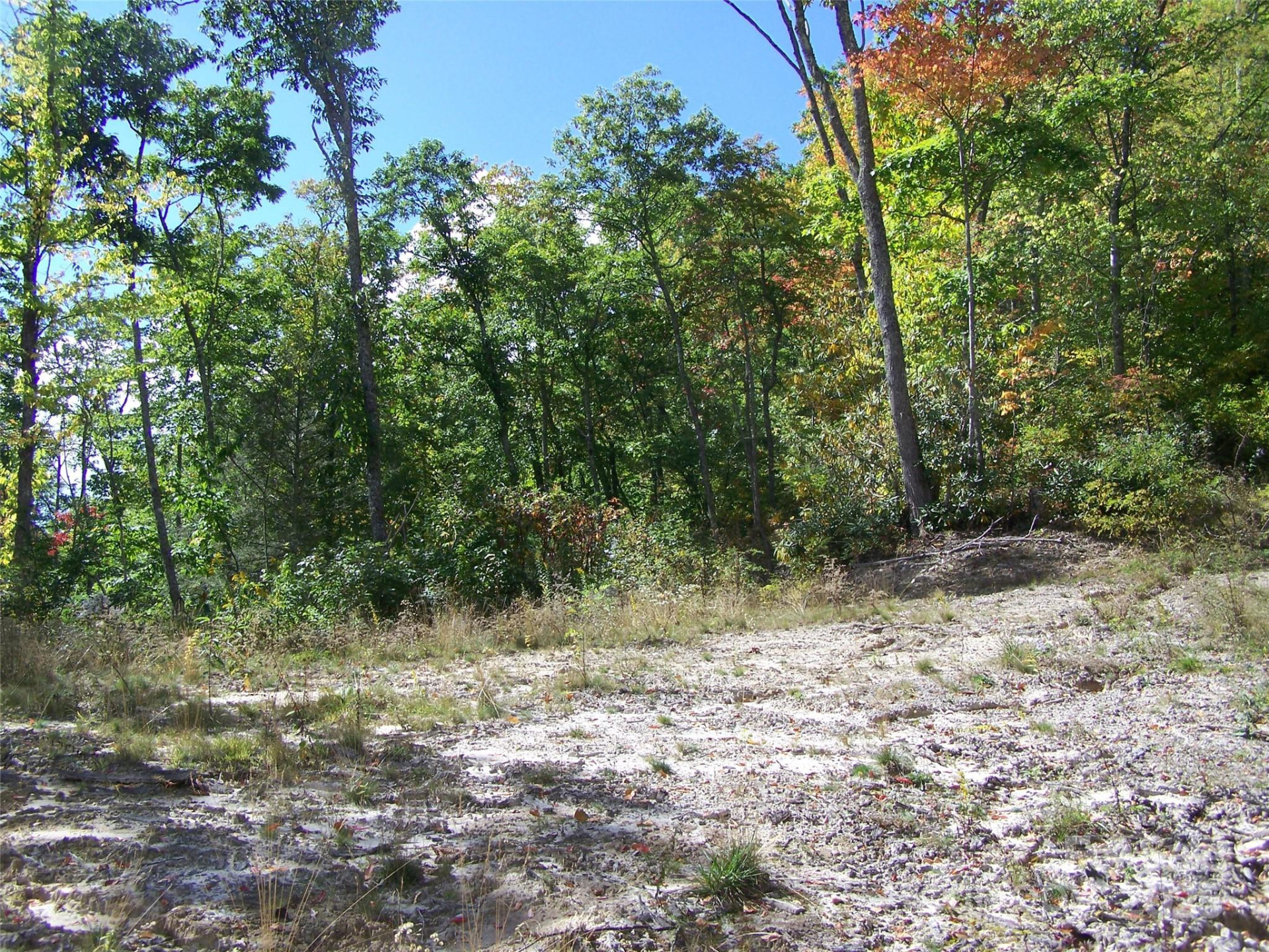 000 Fie Top Road - Photo 6