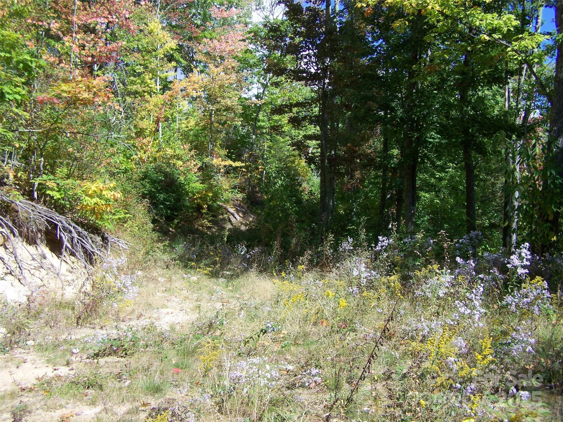 000 Fie Top Road - Photo 7