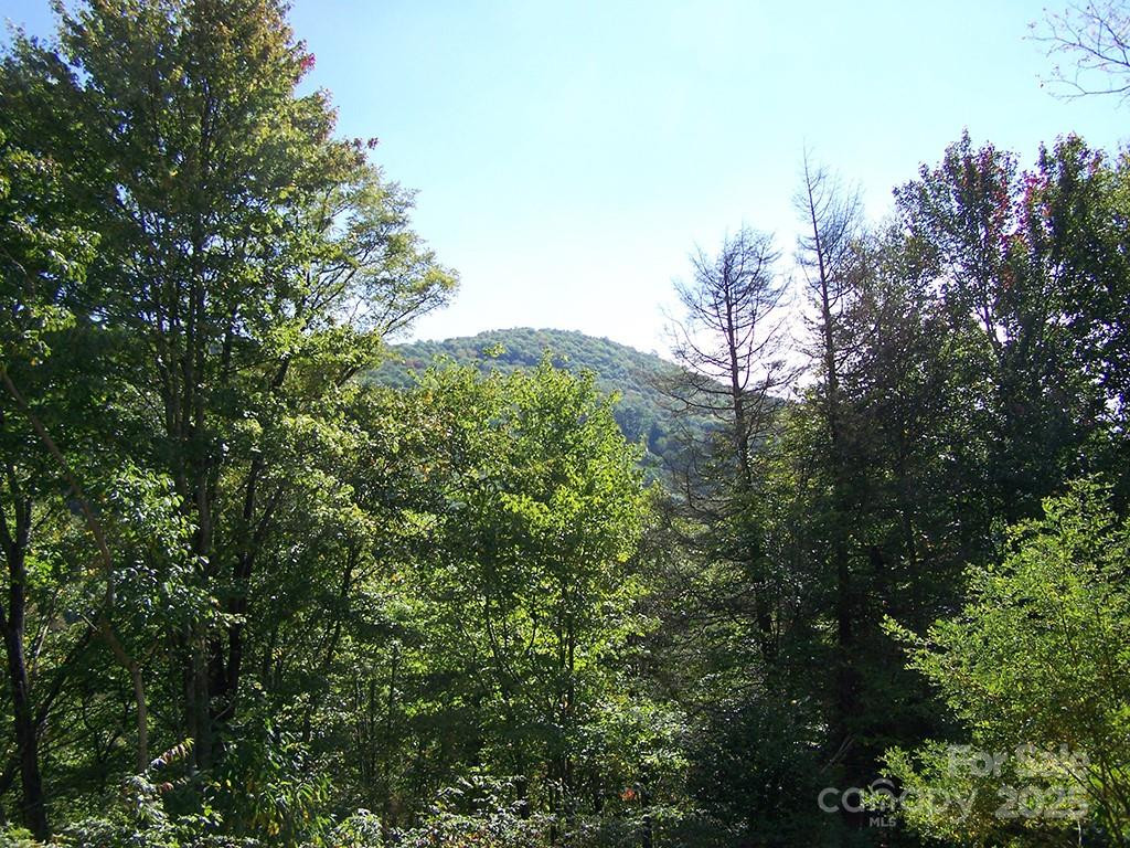 000 Fie Top Road - Photo 8