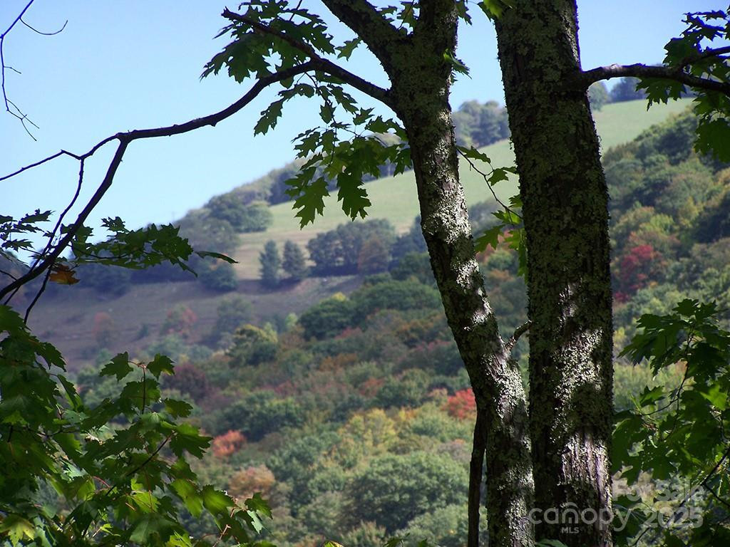 000 Fie Top Road - Photo 9