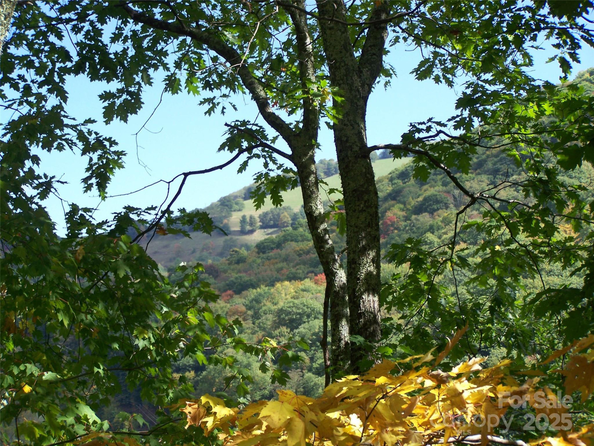 000 Fie Top Road - Photo 10