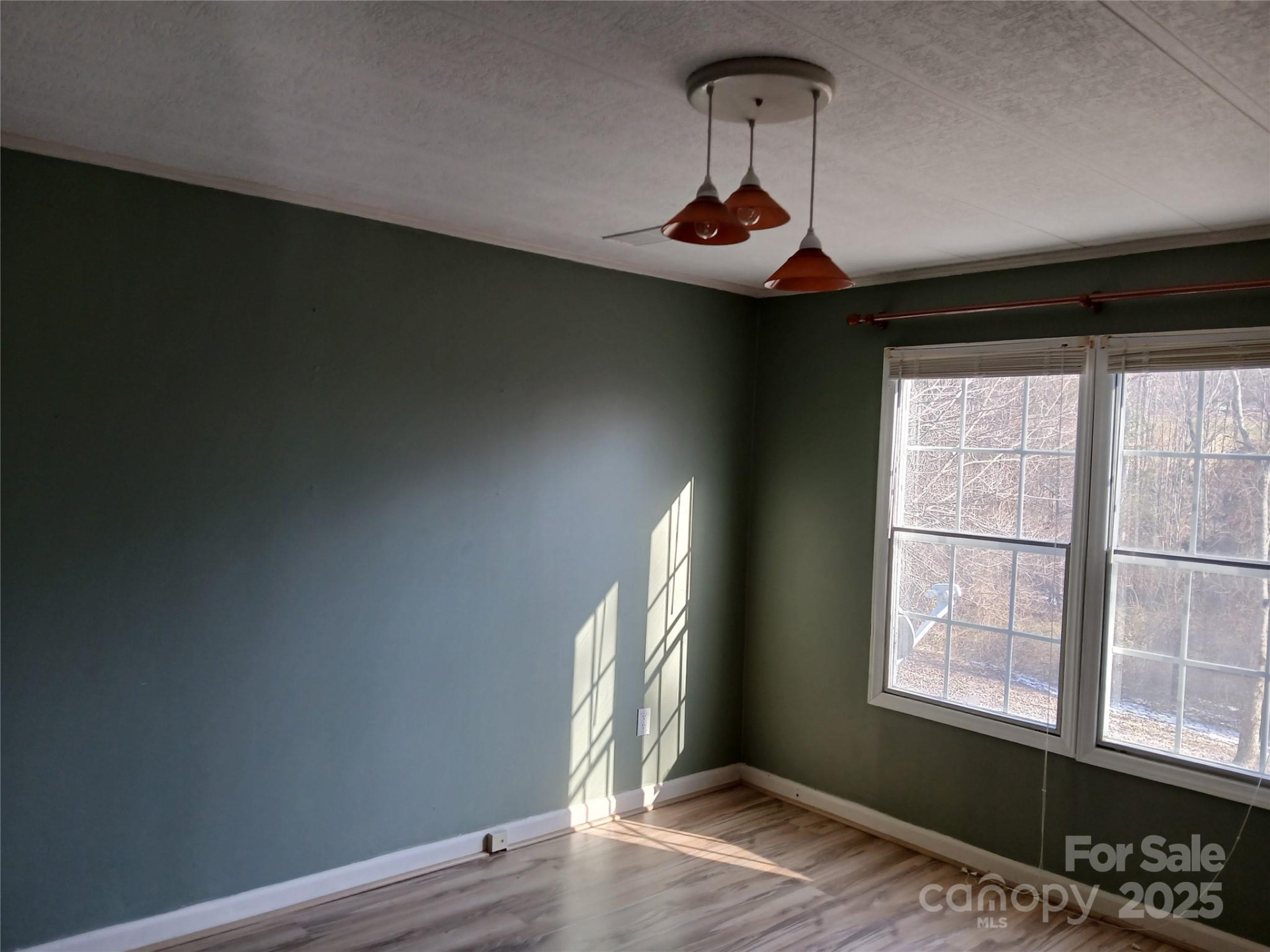 311 Coopers Gap Road - Photo 21